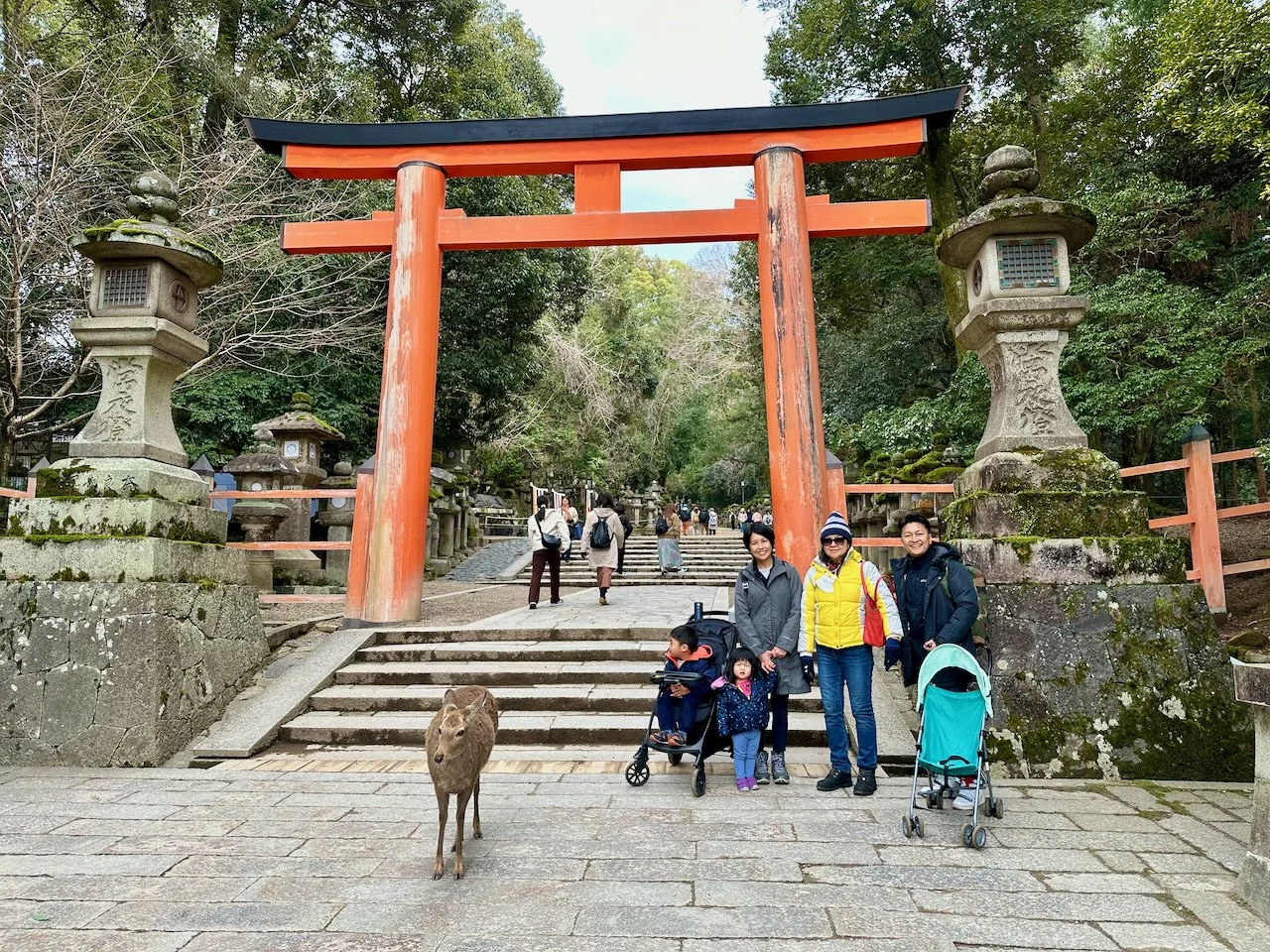On the way to Kasugataisha, a shinto shrine