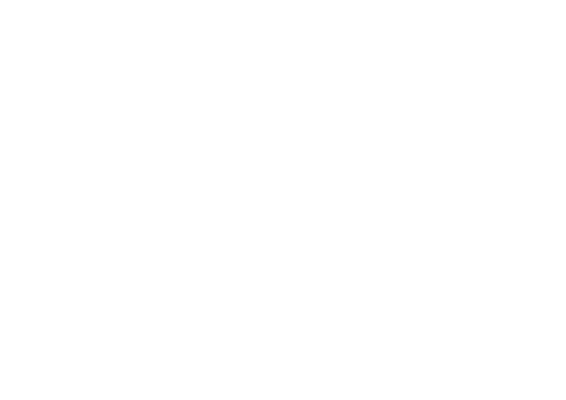 Black circle with white text saying "RED" inside, surrounded by white parentheses.