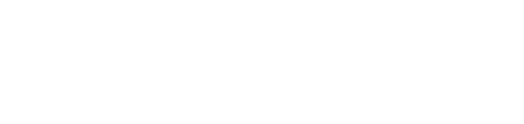 United Nations Foundation logo in black and white with a laurel branch