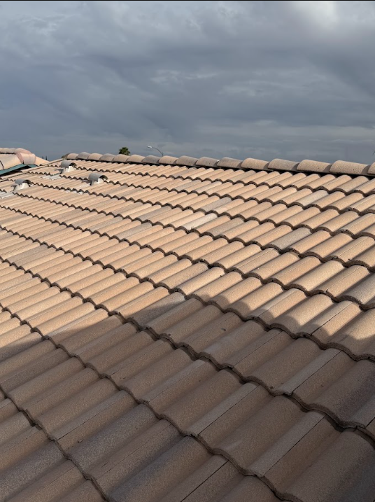 Close-up of a tiled roof with clay or concrete tiles, under a cloudy sky.