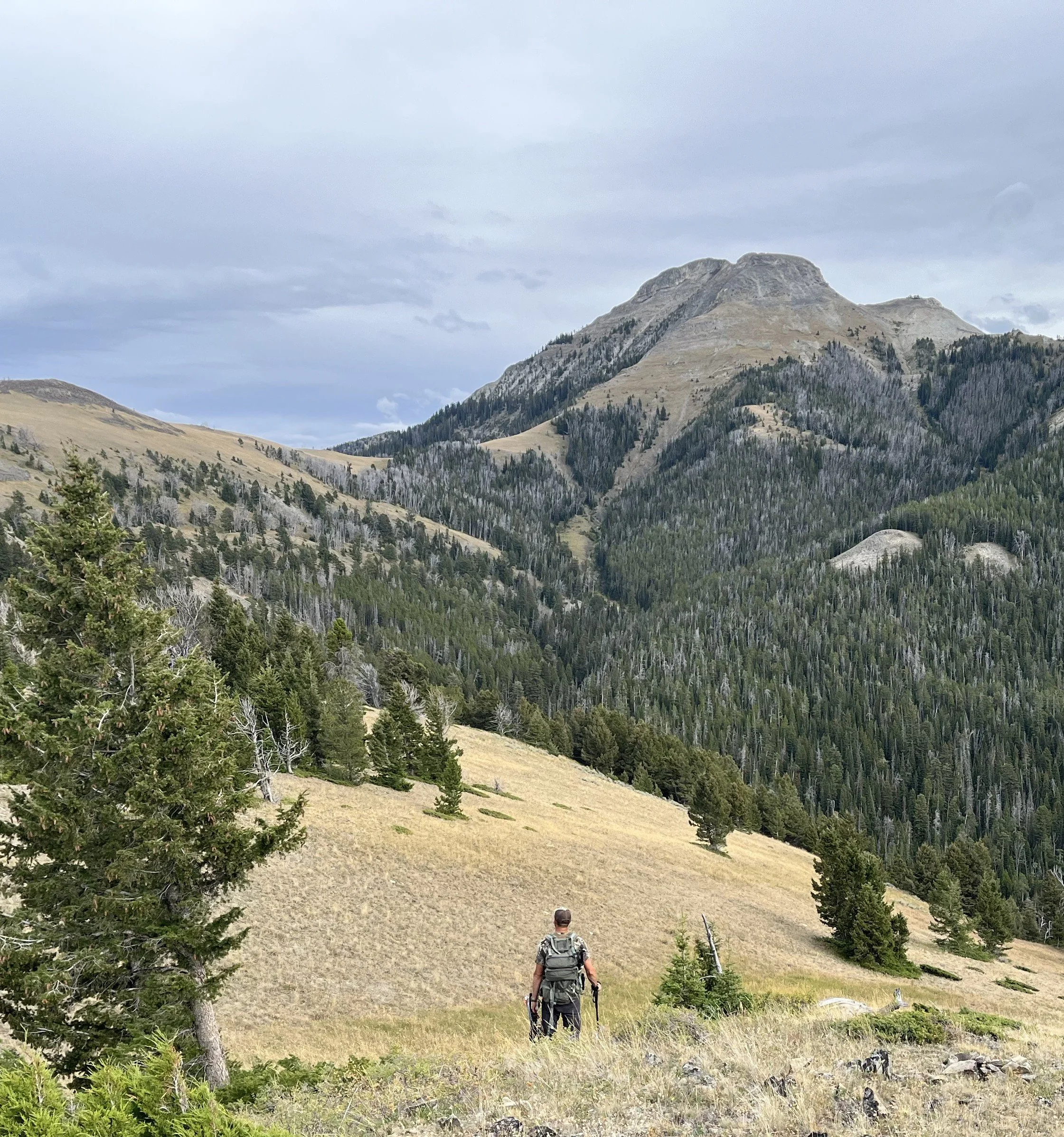 A hiker with a backpack walking on a trail in a mountainous area with trees and rolling hills under an overcast sky.