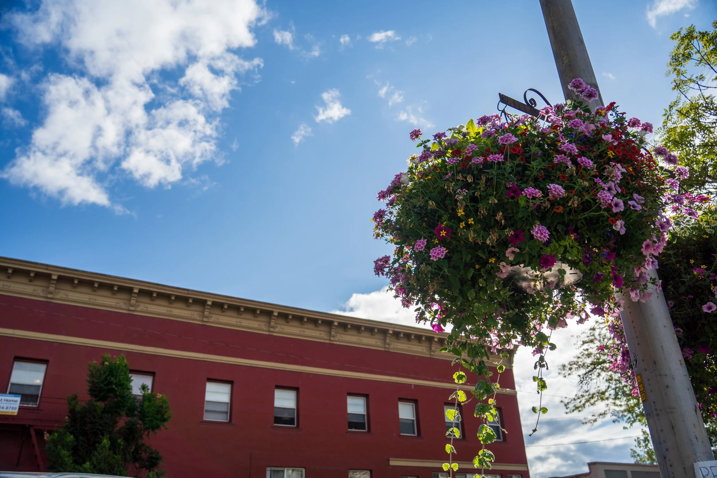 A hanging basket of colorful flowers attached to a street pole against a partly cloudy blue sky, a red building with windows is visible in the background.