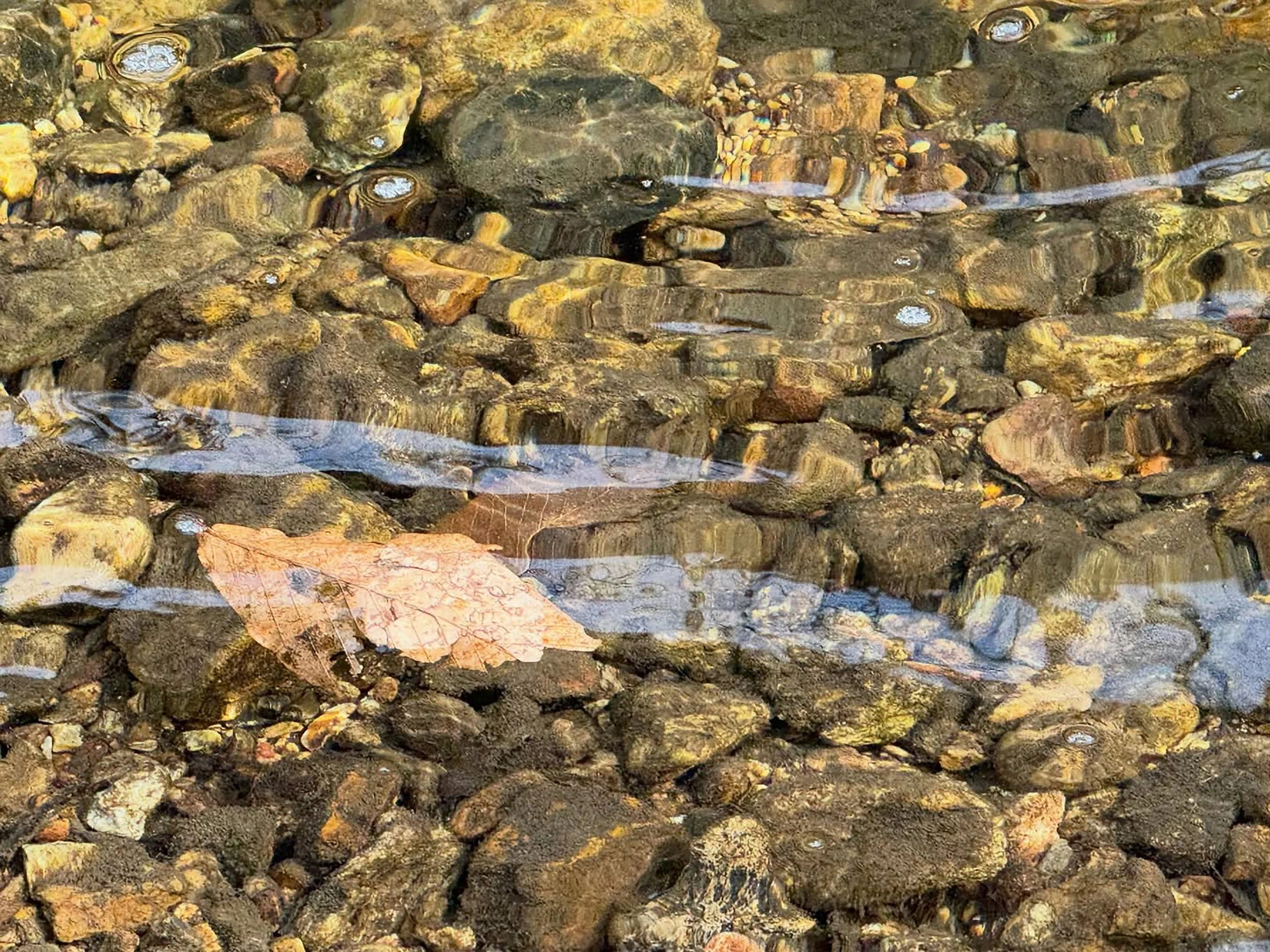 Close-up view of small rocks under clear water, with some floating leaves on the surface.
