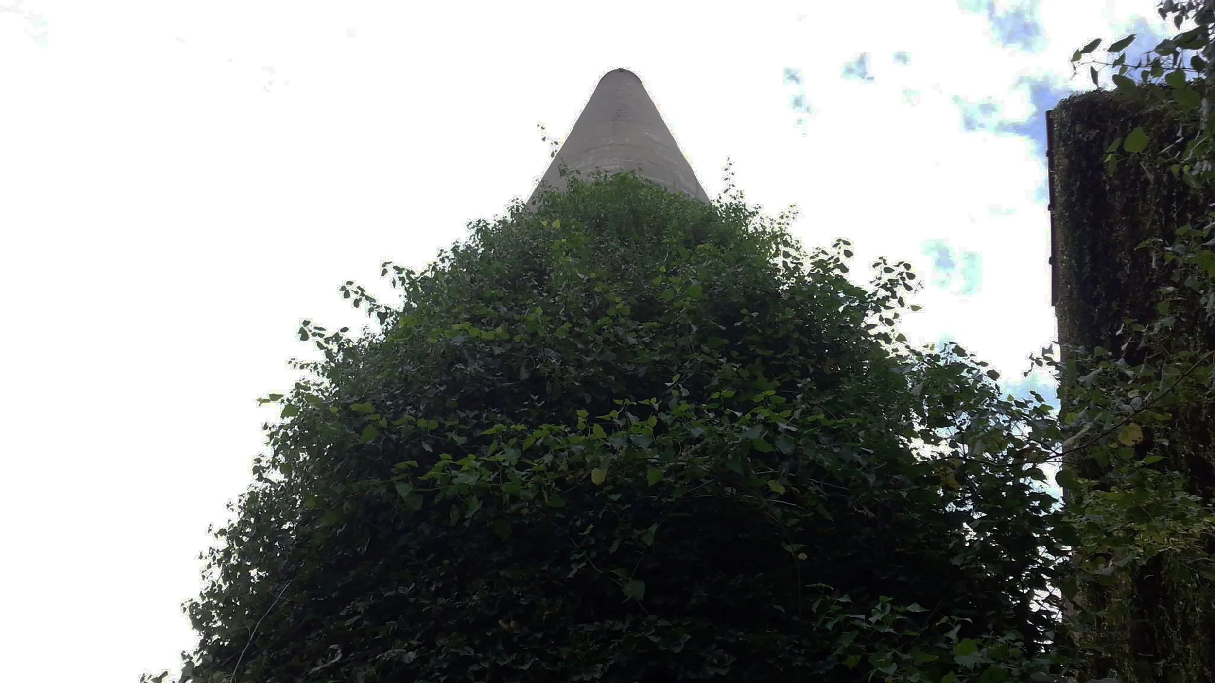 A tall, pointed concrete chimney partially obscured by dense green foliage, with a partly cloudy sky in the background.