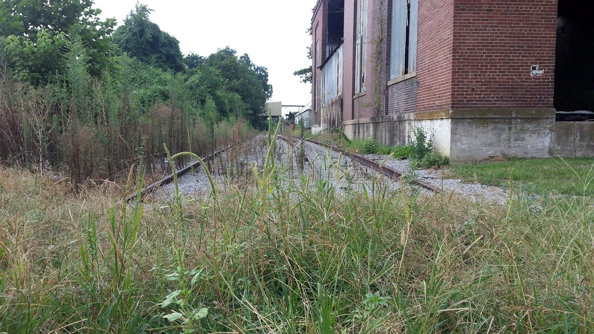 Overgrown abandoned train tracks near a brick building with boarded windows, surrounded by grass and bushes.