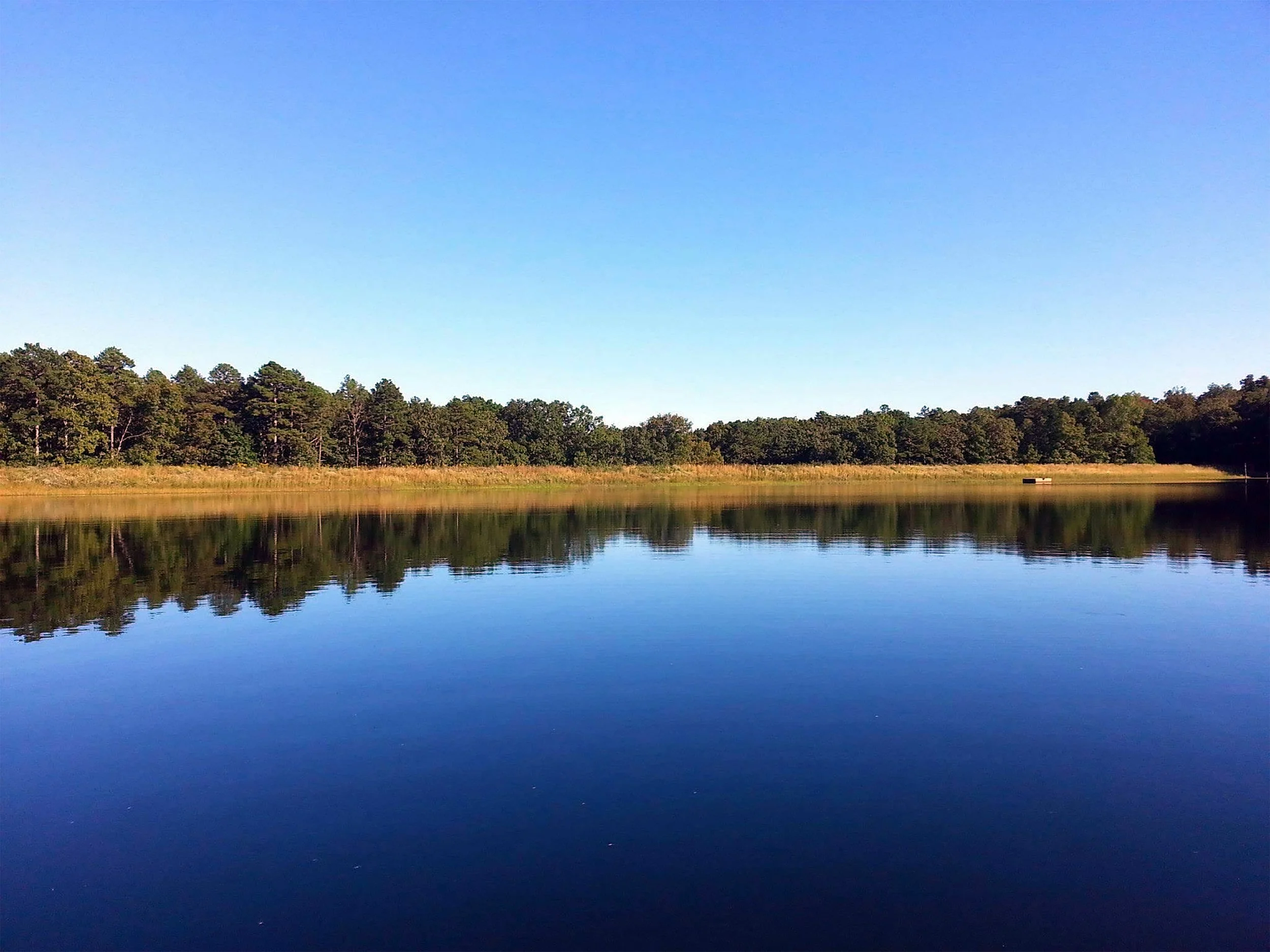 Calm lake reflecting green trees and clear blue sky with no clouds.