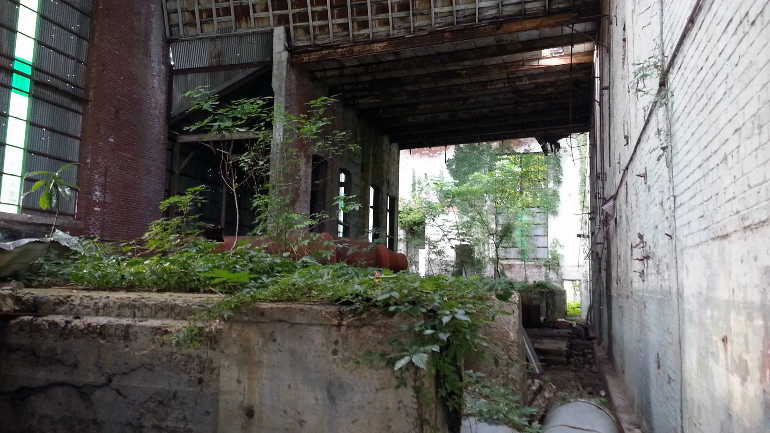 An abandoned building with exposed brick and wooden beams, overgrown with plants, and surrounded by a damaged concrete floor.