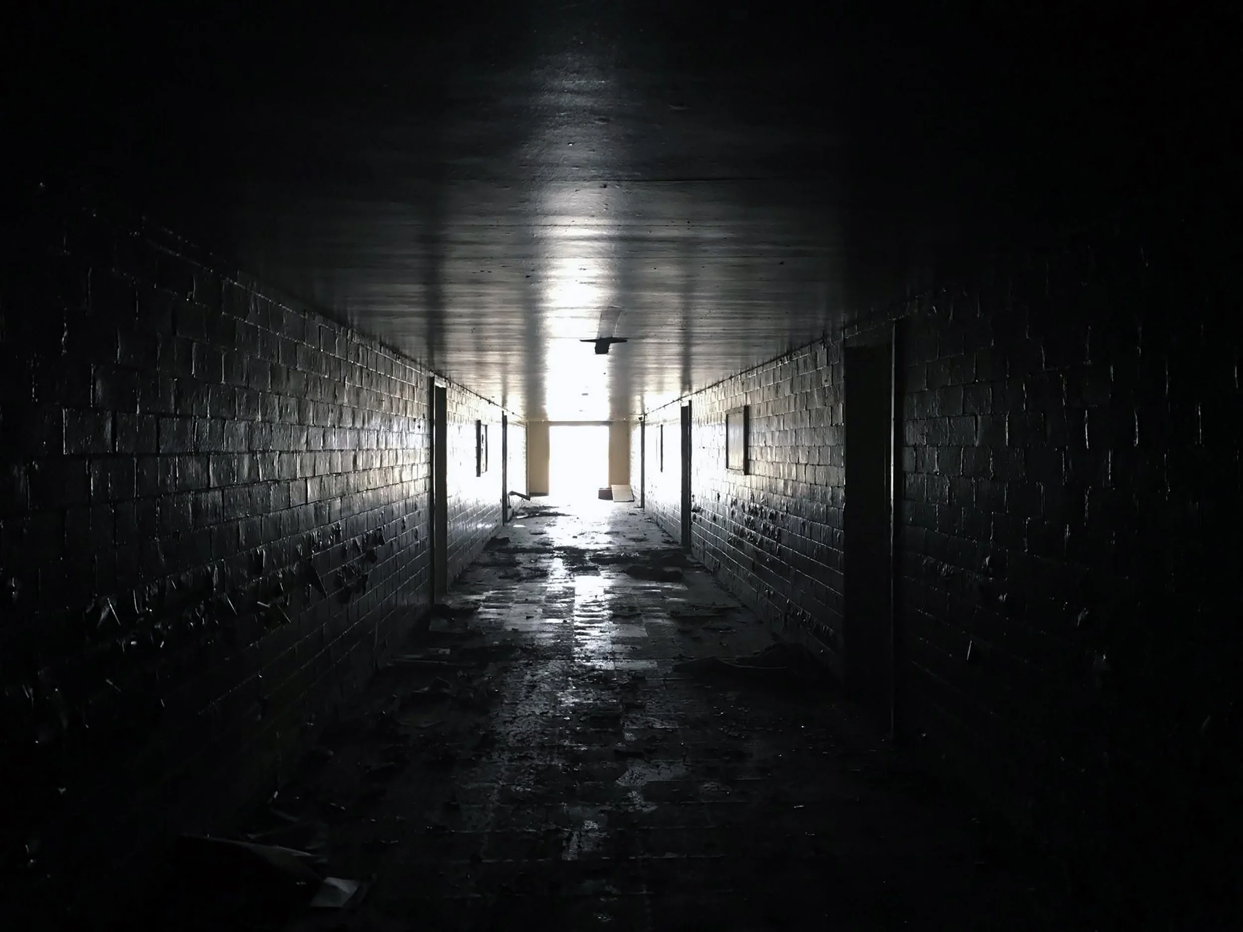 Dark, empty underground tunnel with wet walls and floor, light visible at the far end, and a small bird silhouette on the ceiling.