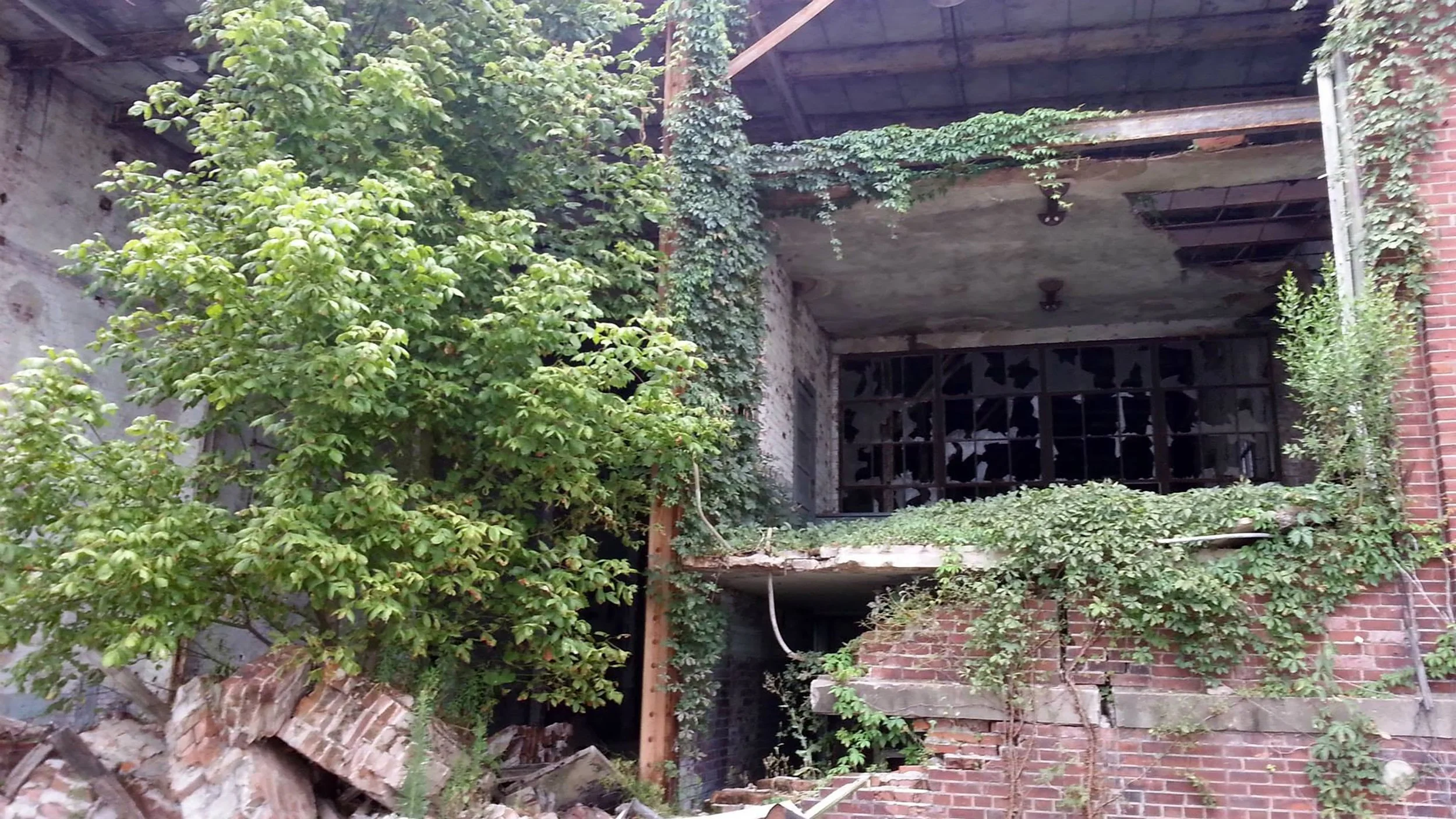 An abandoned building overgrown with green plants, with broken windows and brick walls.