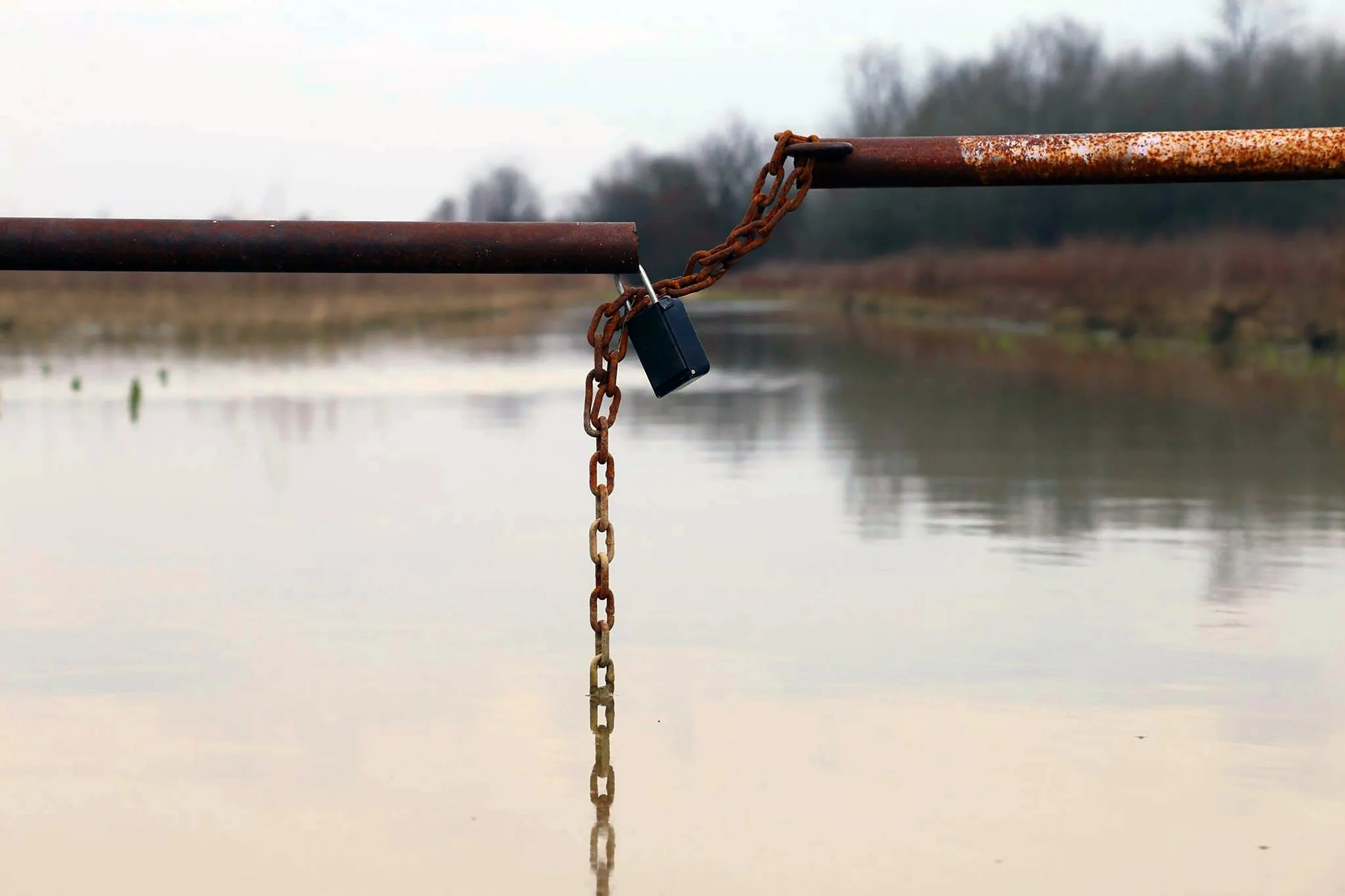 Rusty metal pipes connected by a rusty chain with a padlock, over a calm body of water, with a blurred tree-lined landscape in the background.