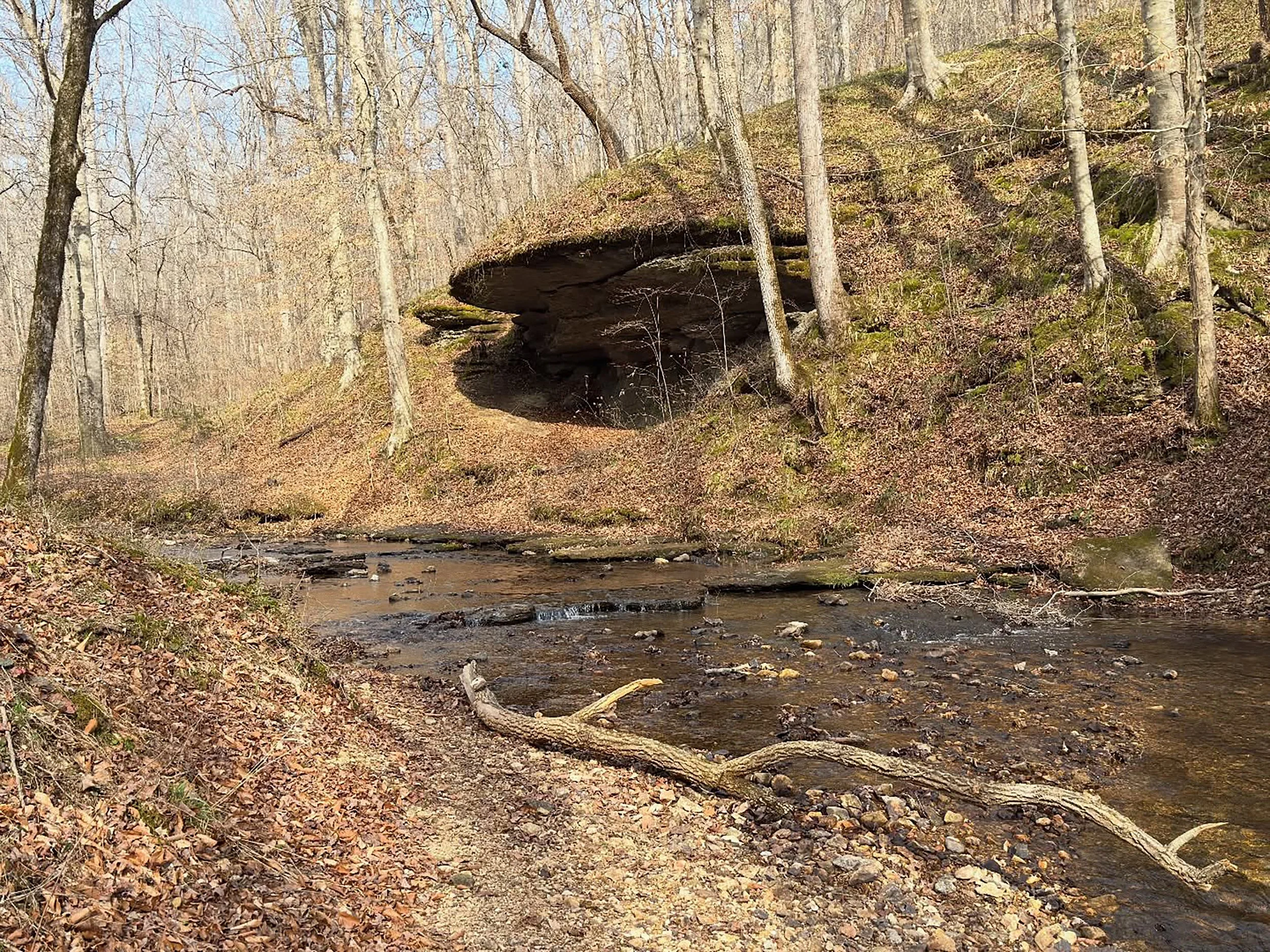 A small creek flowing through a forest with trees and fallen leaves, and a large moss-covered rock formation