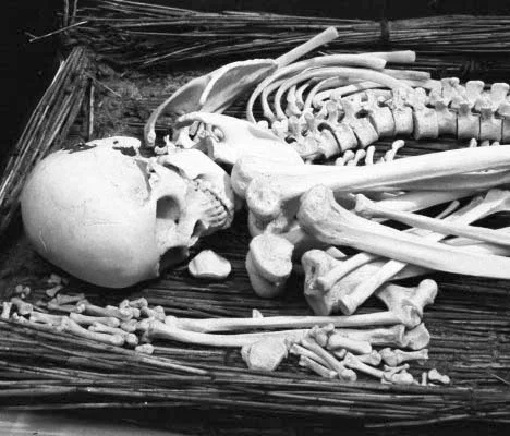 reed-burial_MONO.jpg