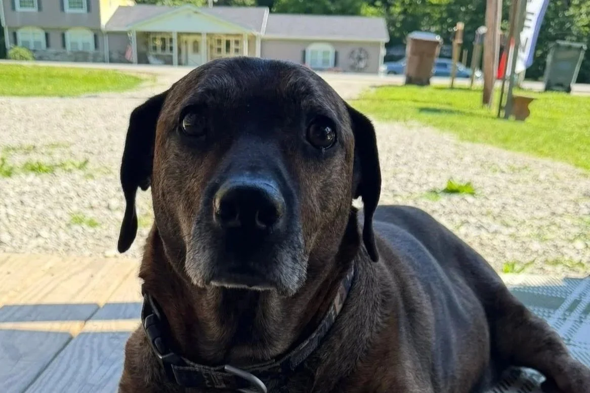 porchgreeter6.jpg