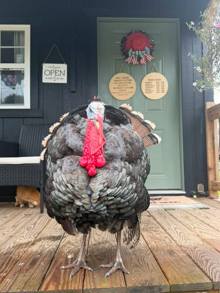 Porch Greeters