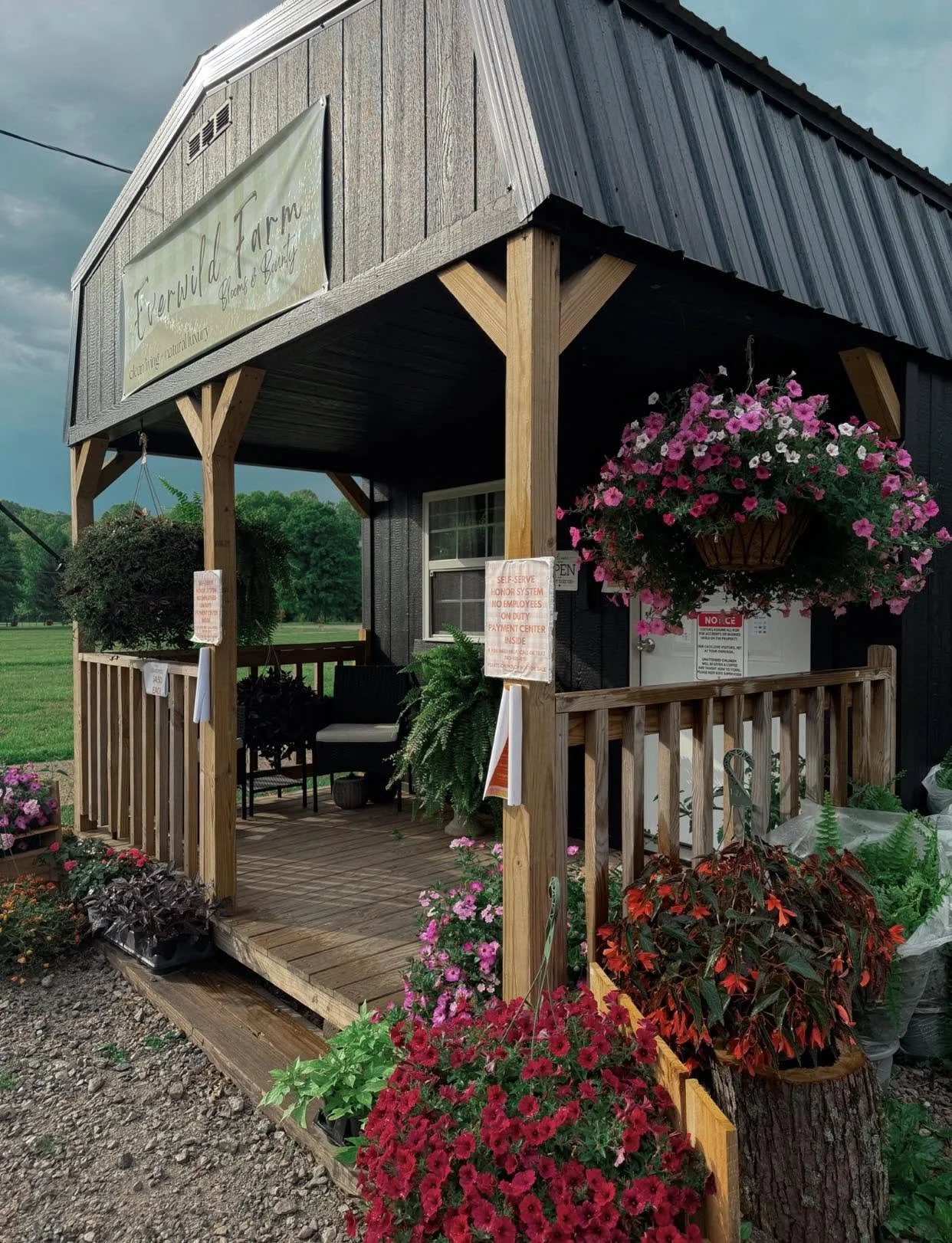 A small wooden porch attached to a black building, decorated with hanging and potted pink and red flowers. Signs indicating rules hang from the porch and a sign on the building. The porch includes a bench and some ferns, with a lush green background.