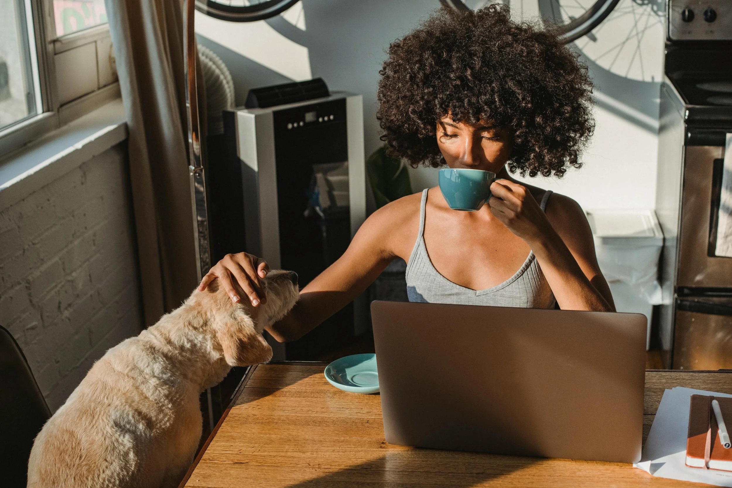 What If You’ve Outgrown the Business You Built? Why Your Next Big Move Might Start With Letting Go