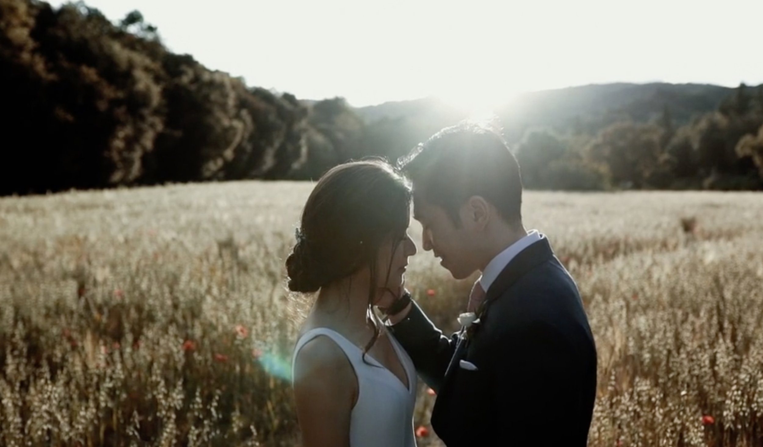 A couple in wedding attire sharing a close, intimate moment in a field of tall grass or wildflowers, with hills and bright sunlight in the background.