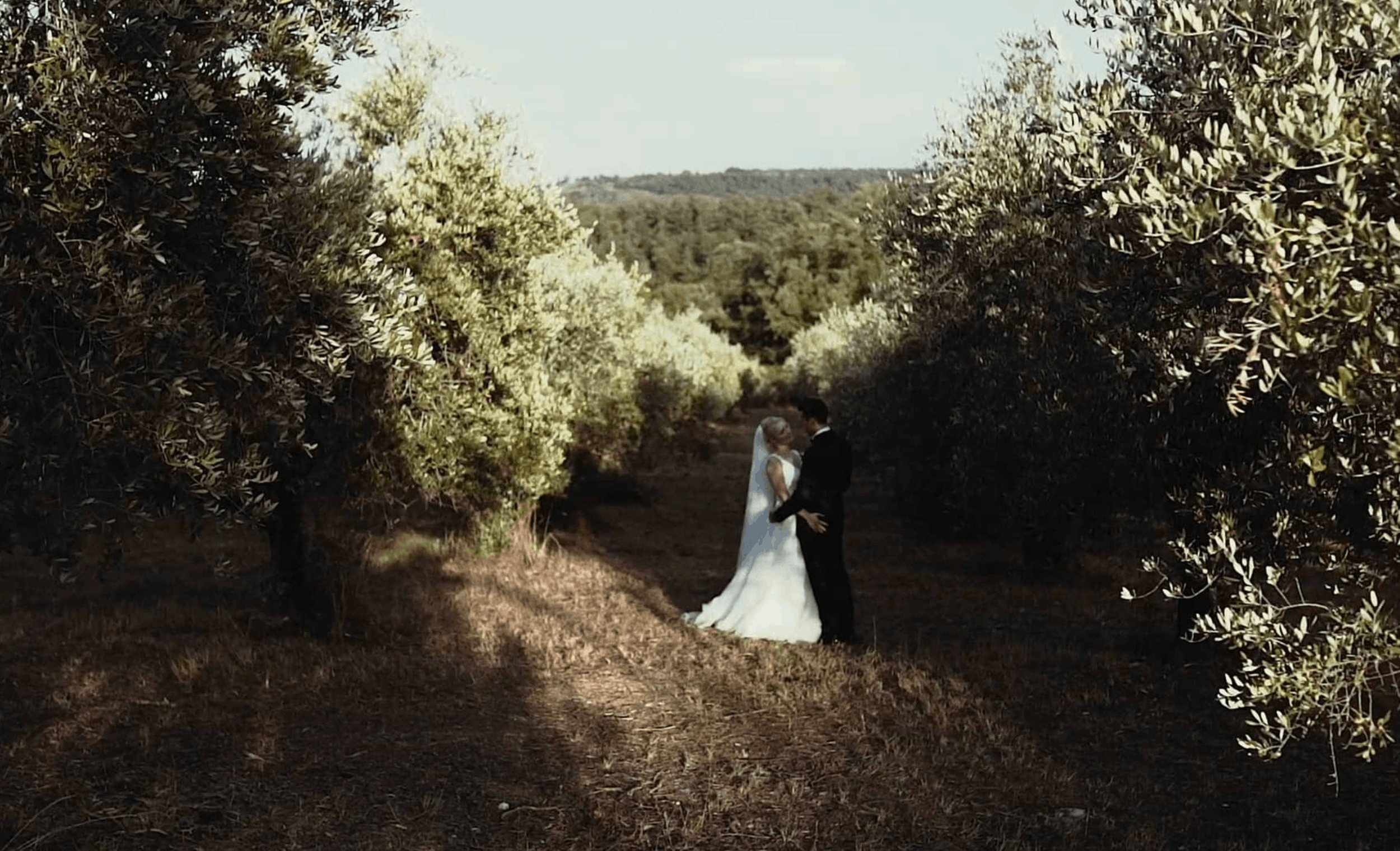 A bride and groom standing close together in an orchard, holding hands, surrounded by trees with dense foliage on a clear day.