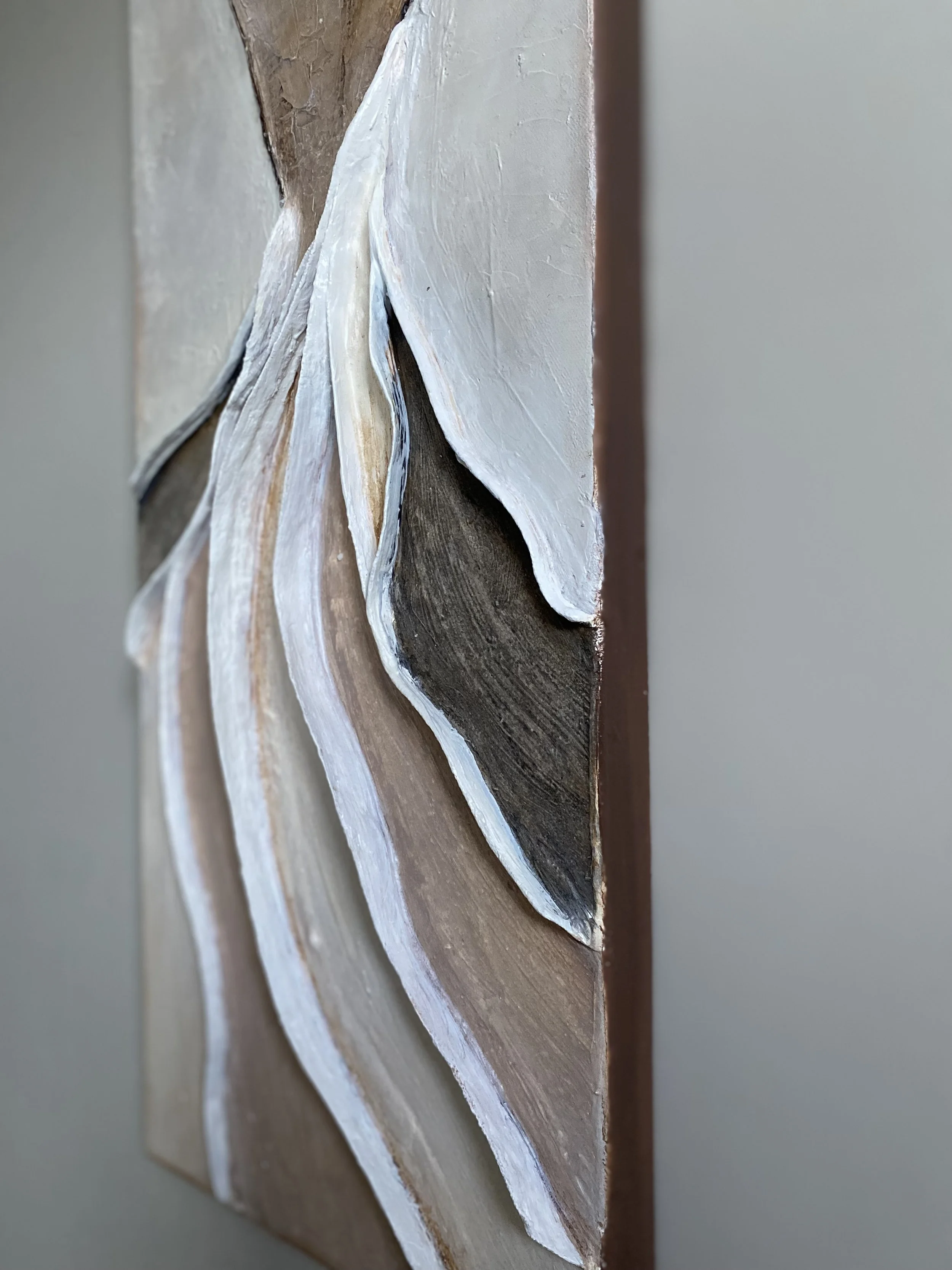 Close-up of layered white and brown feathers on a bird’s wing