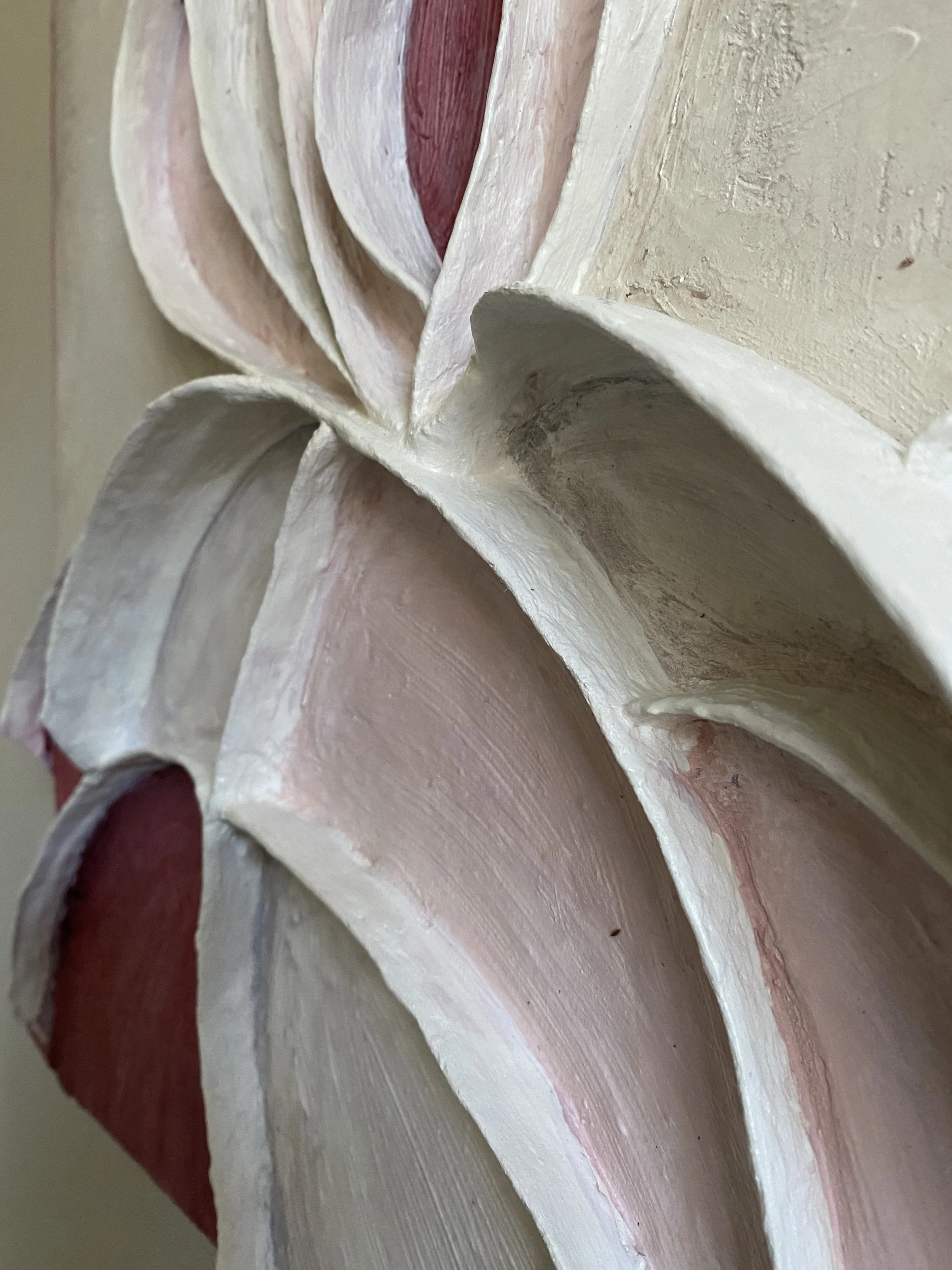 Close-up of a human shoulder joint anatomy model showing the scapula, humerus, and surrounding muscles.