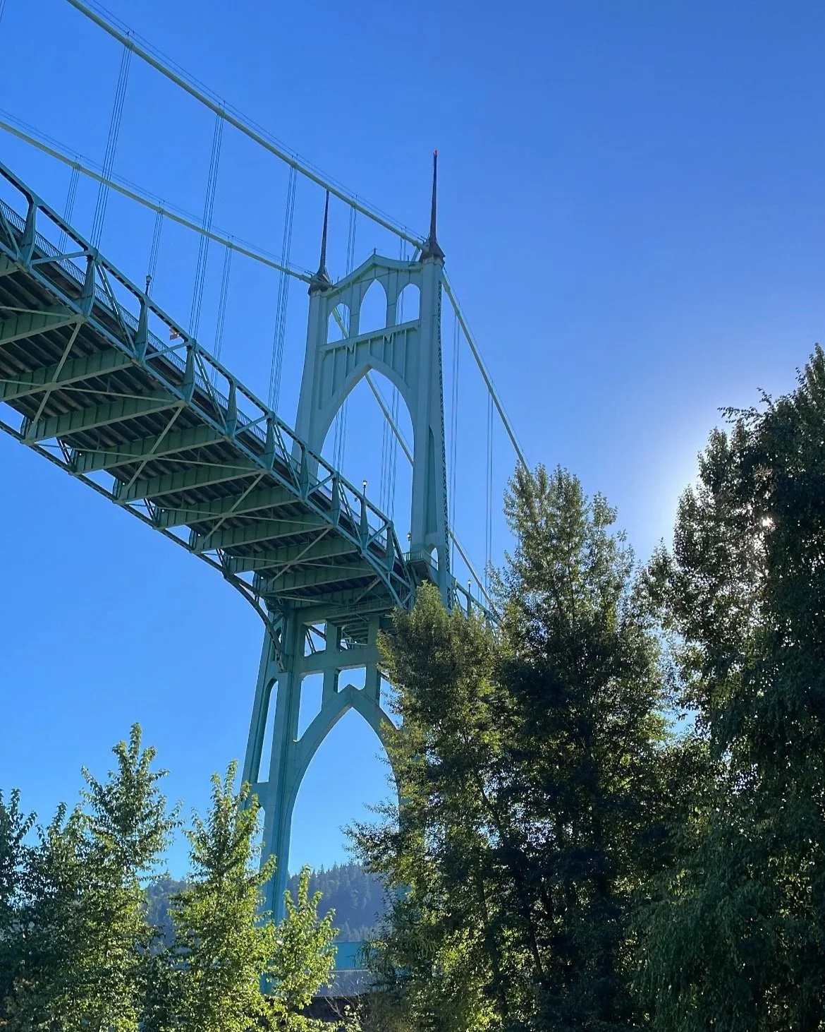 View of a large suspension bridge with a tall tower, blue sky, and sunlight peeking through trees.