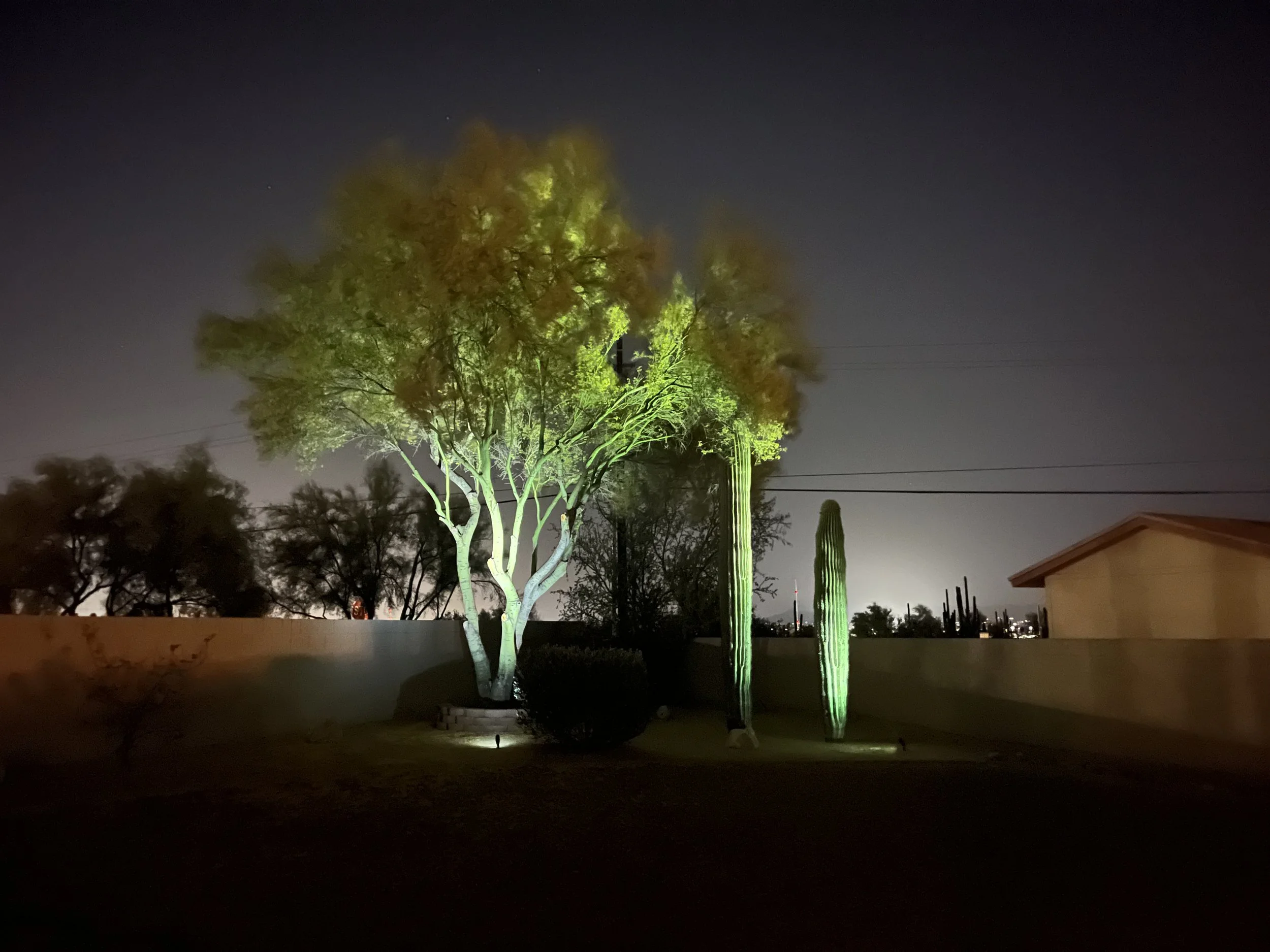 Nighttime outdoor scene with trees illuminated by green lights, dark sky, nearby building, and power lines.