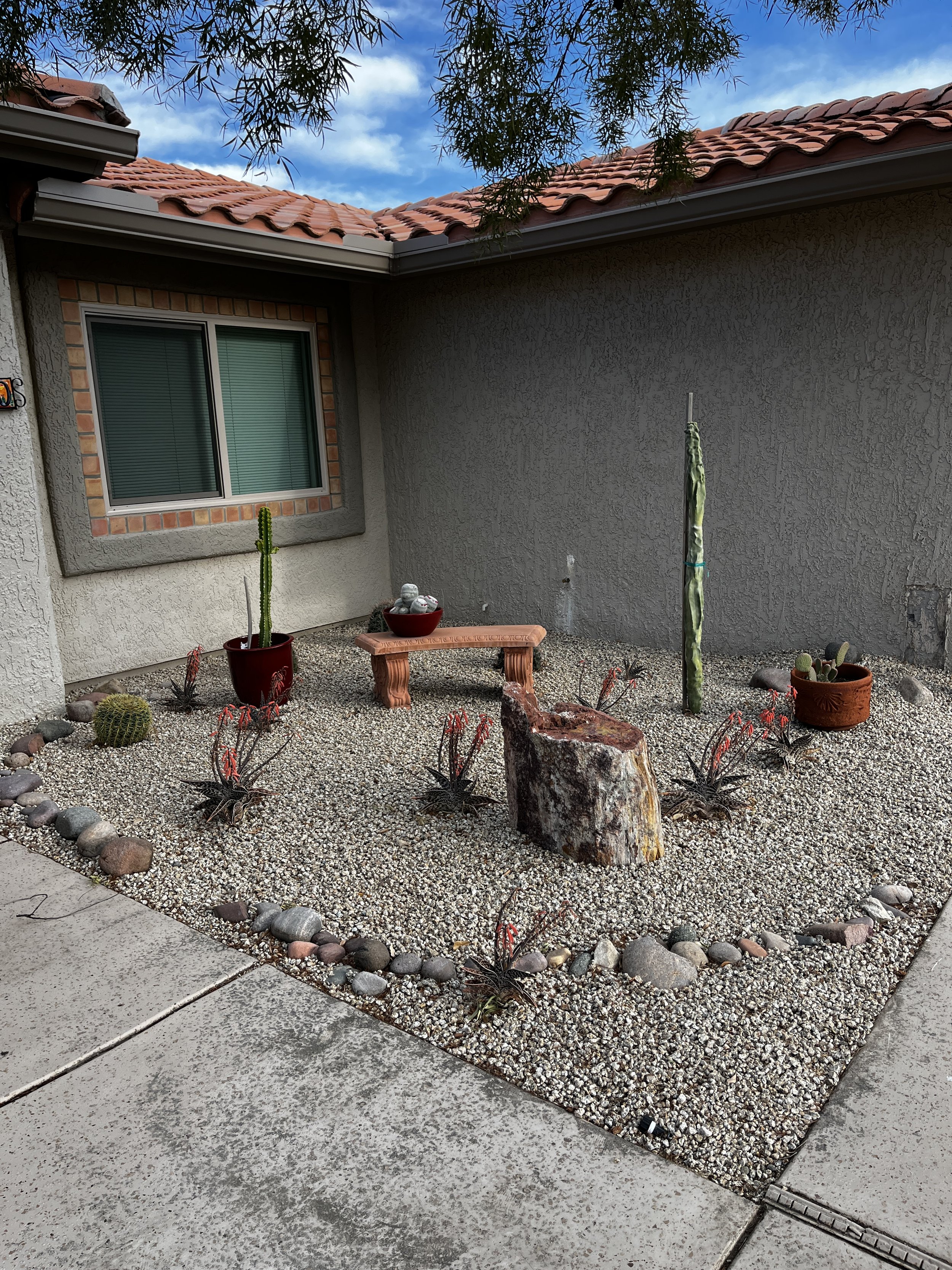 A small outdoor garden with rocks, cacti, and succulents, bordered by a concrete sidewalk and brick flower bed, with a house wall and window in the background.