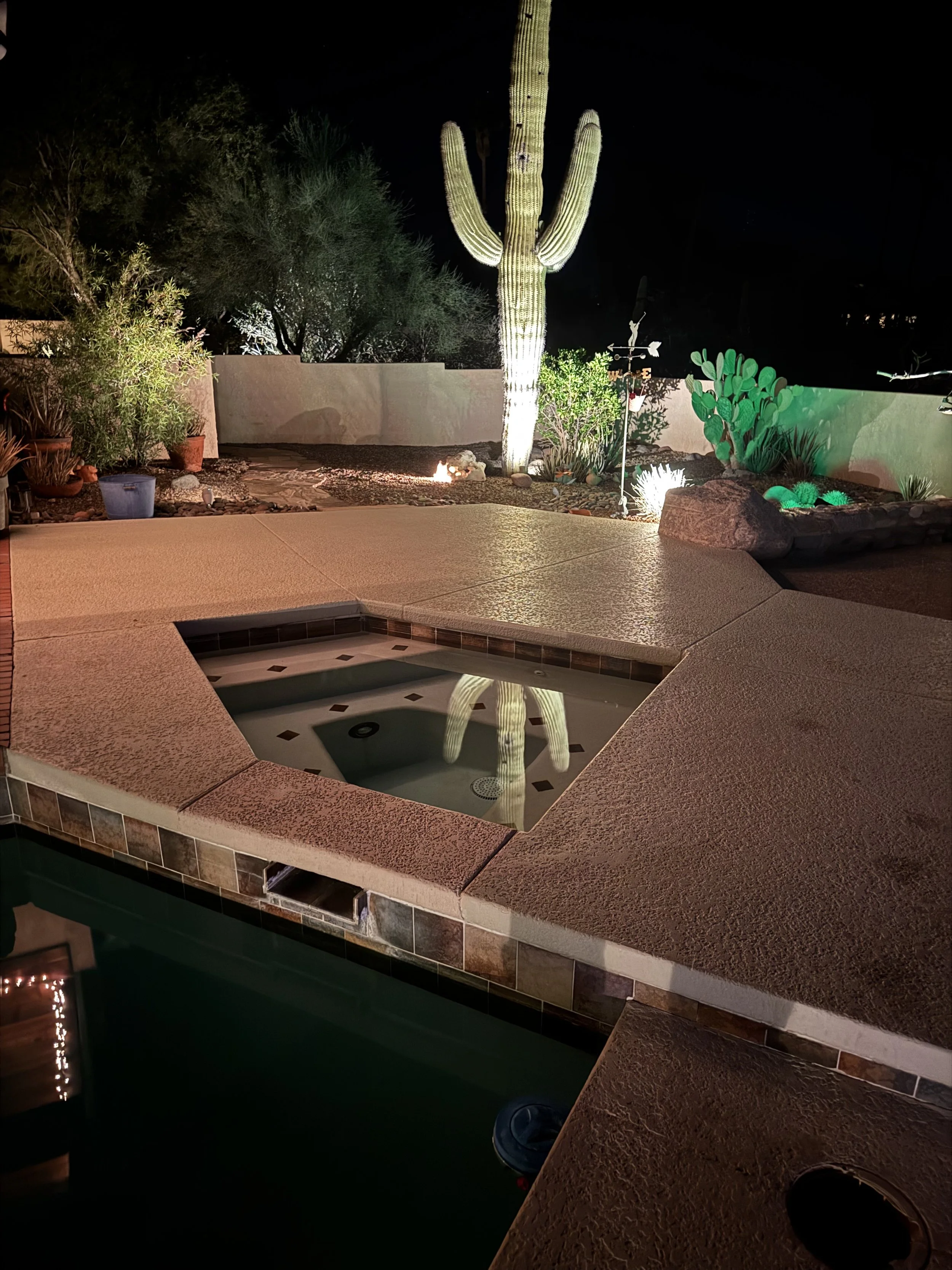 Nighttime backyard scene featuring a tall cactus, various potted plants, a small fire on the ground, and a weather vane with an arrow, illuminated by lights.