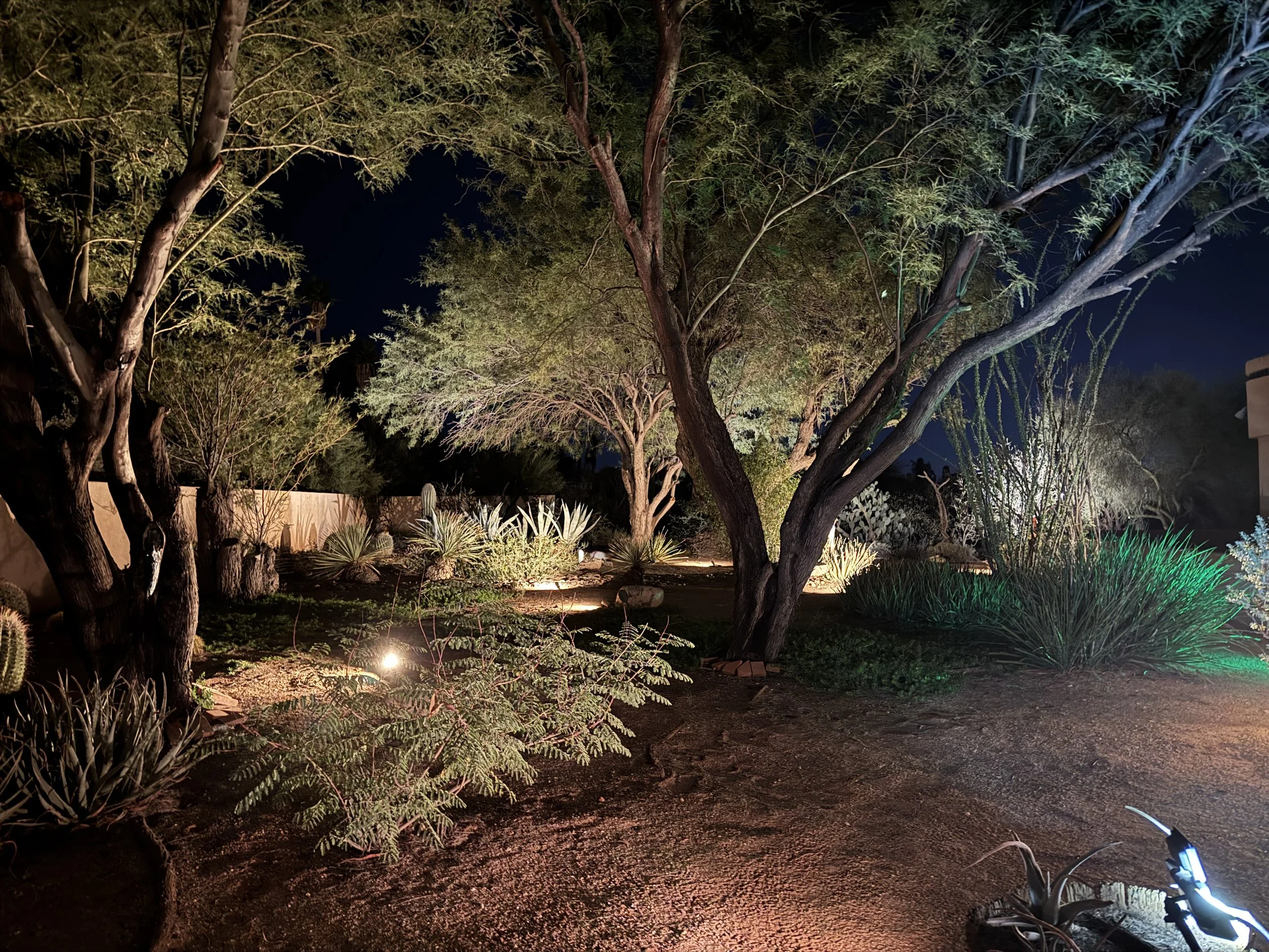 Nighttime view of a backyard garden with trees illuminated by outdoor lighting, showing various plants, dirt ground, and a section of a wall or building on the right.