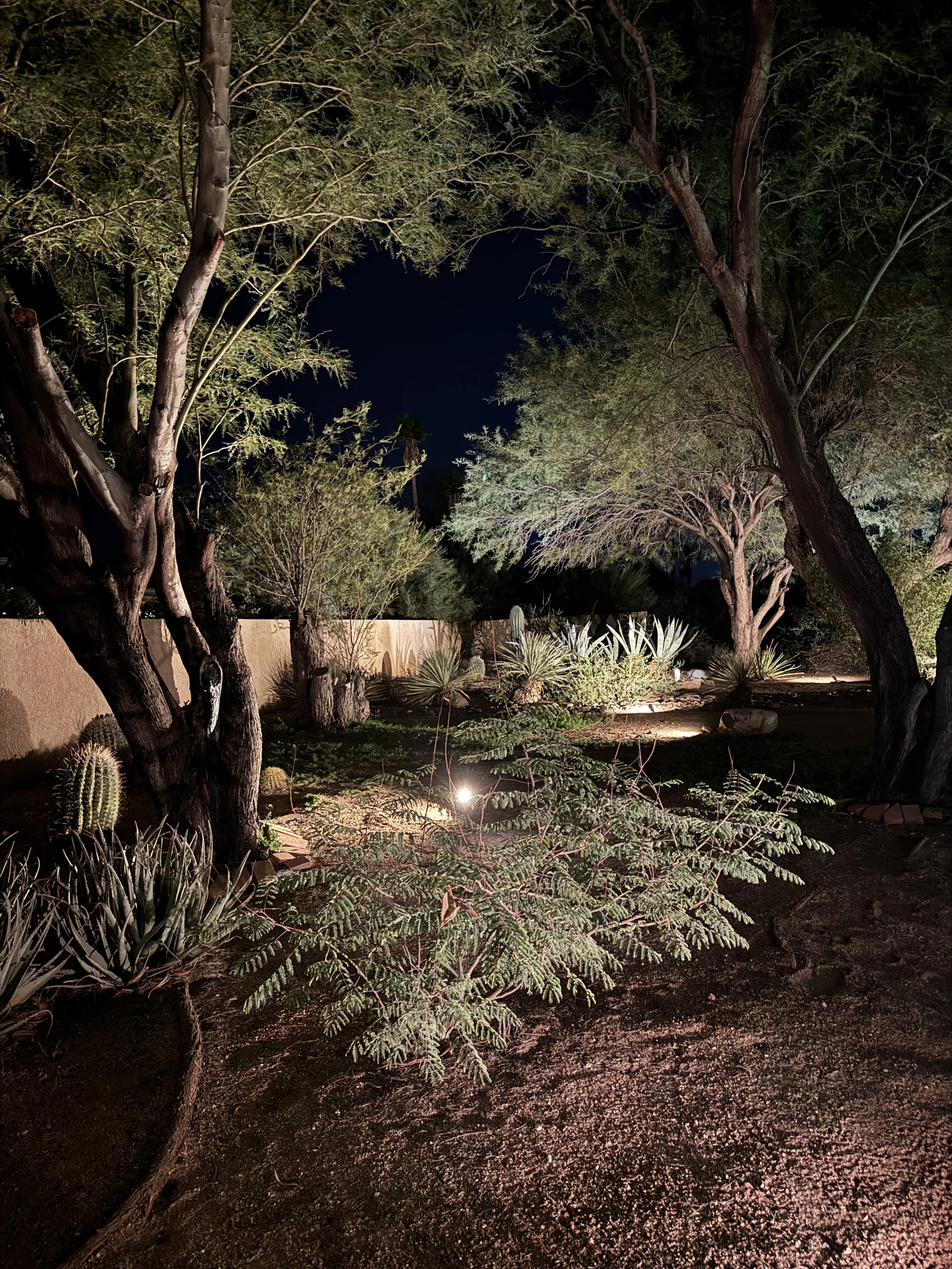 Nighttime scene of a garden with trees and plants illuminated by artificial lights, a clay wall in the background, and a dark sky overhead.