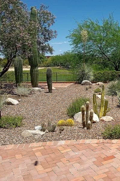 Desert landscape with cacti, rocks, gravel, and green trees under a blue sky.