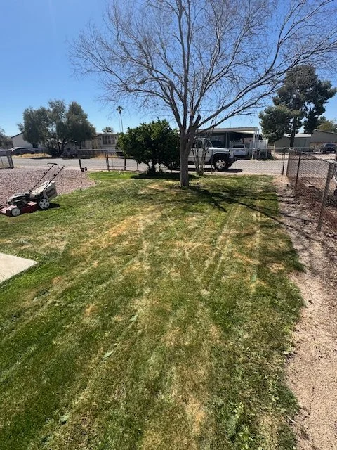 A backyard with a small patch of grass, a leafless tree, a trimmed bush, a lawnmower, and a truck parked beyond a fence under a clear blue sky.