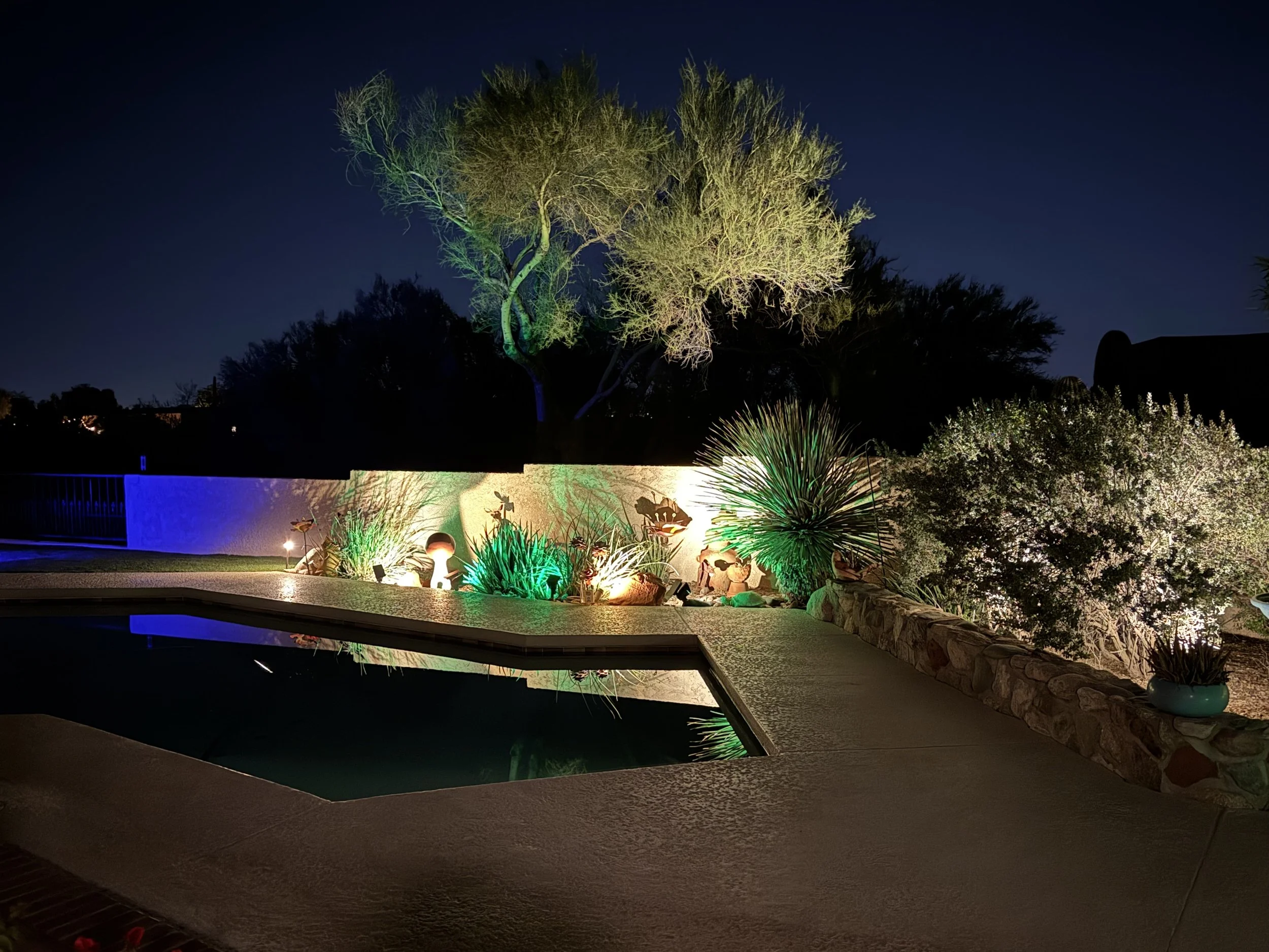 Night view of a backyard with trees illuminated by colored lights, a swimming pool, and various desert plants.