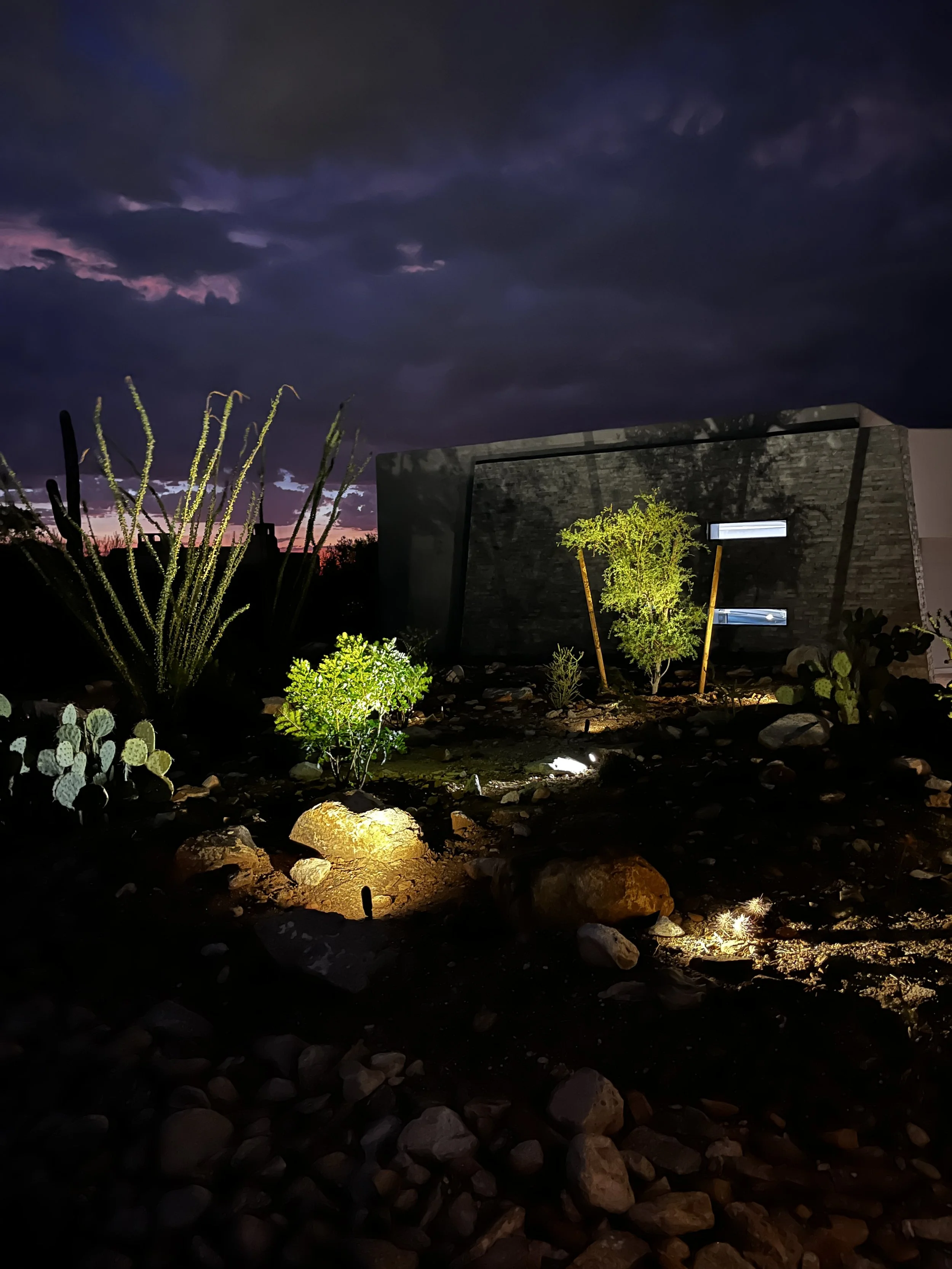 Nighttime desert scene with illuminated plants and rocks in the foreground, modern building with lights and a cactus and other desert plants against a dark, cloudy sky.
