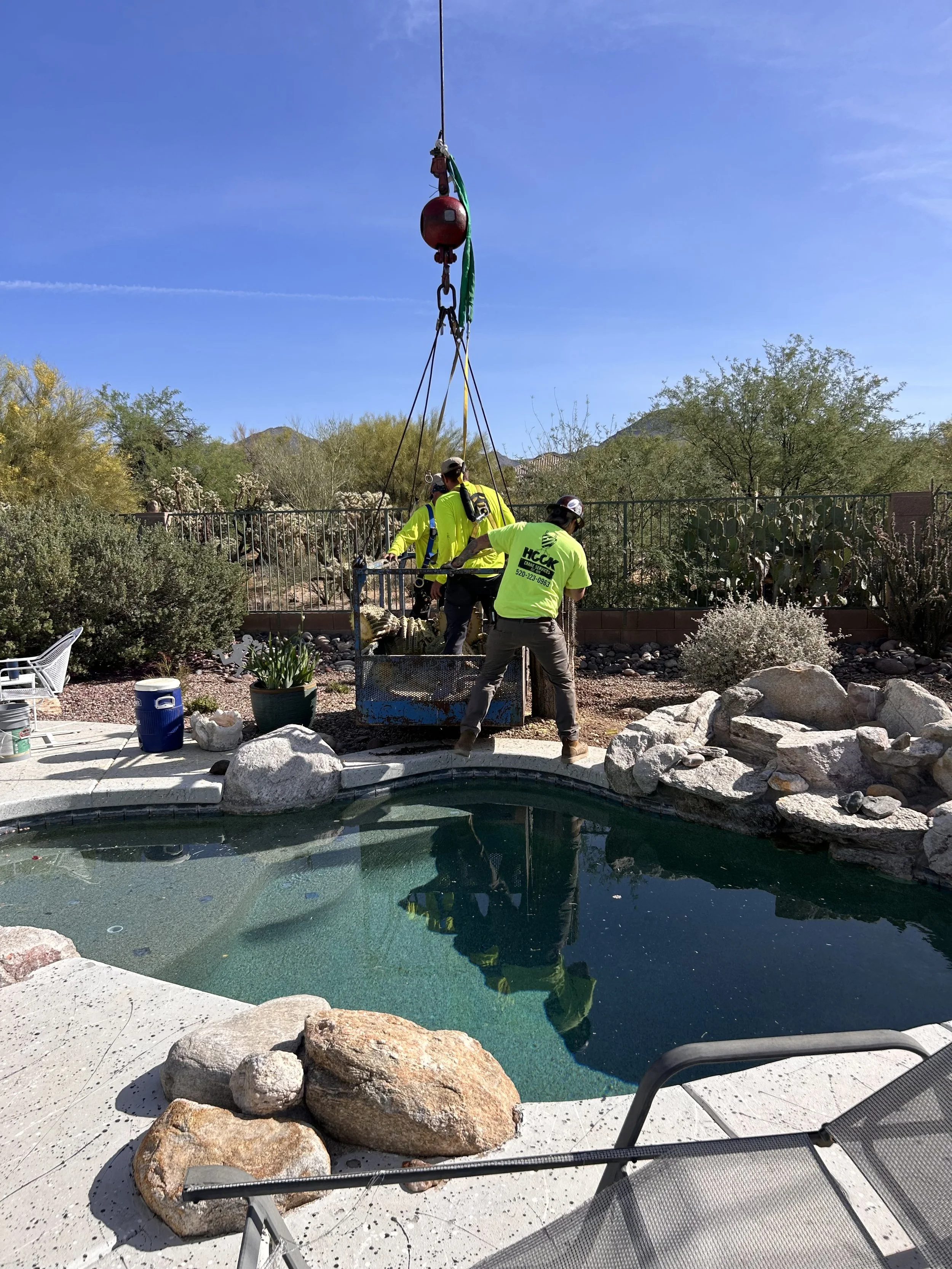 Workers installing or repairing a swimming pool in a backyard, with landscaping, trees, and mountains in the background under a clear blue sky.