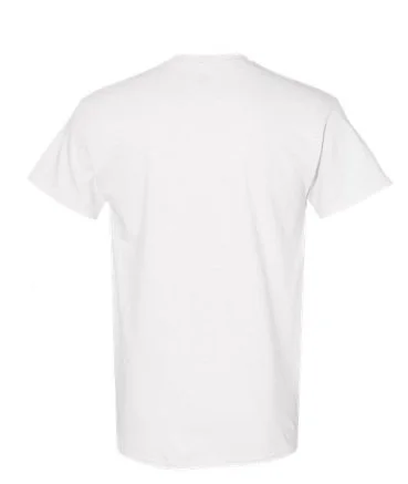 T-shirt Back 1.jpg
