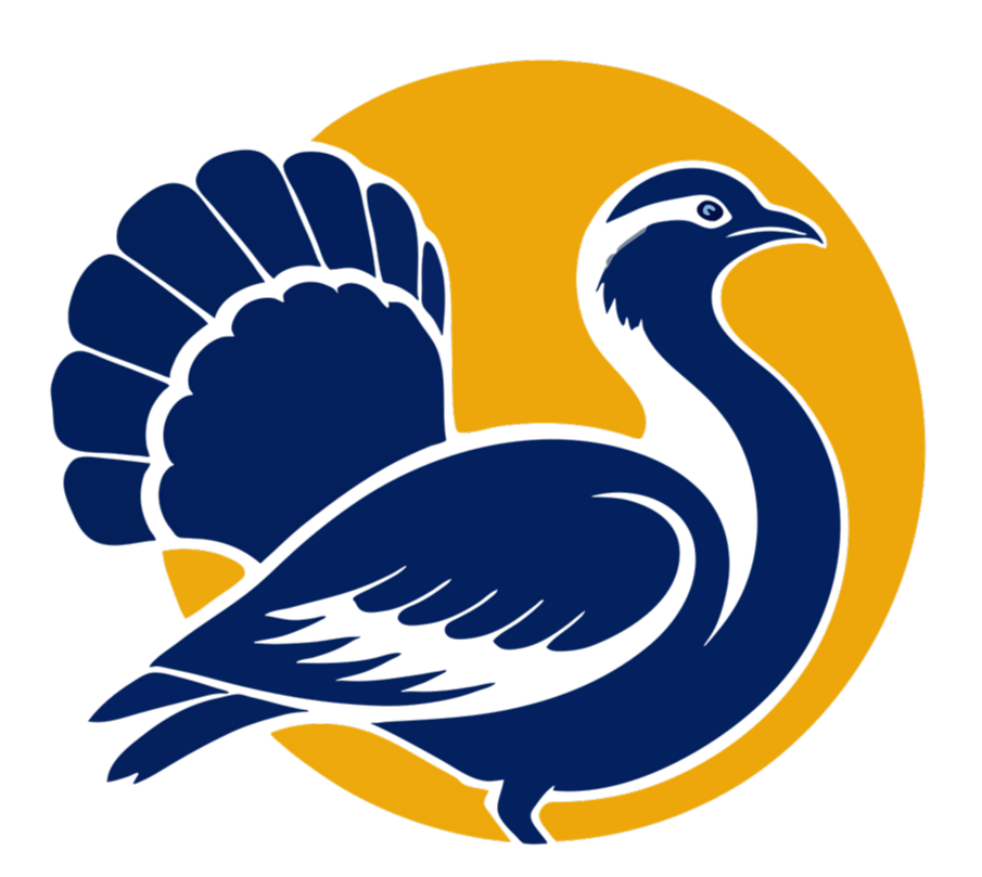 Cook &amp; Co Services 