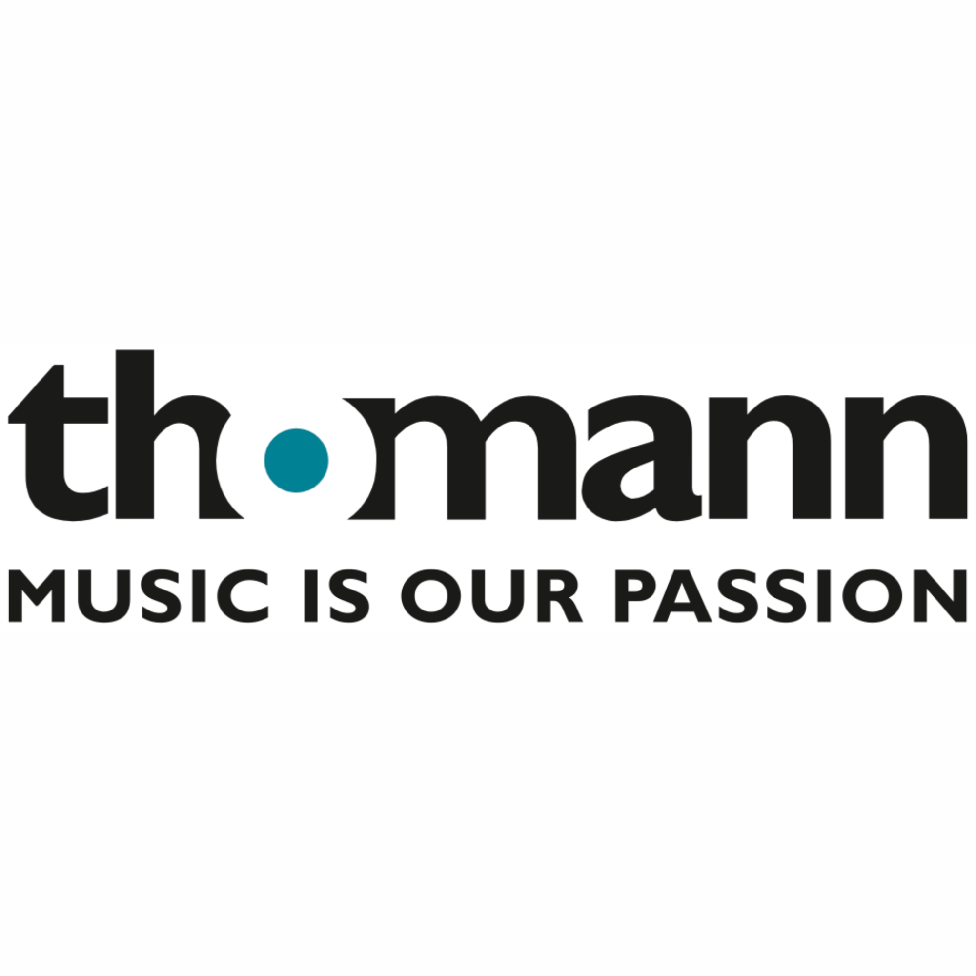 Close-up of a logo with the words 'the company' in black lowercase letters, a teal dot above the 'o', and the phrase 'MUSIC IS OUR PASSION' in capital letters at the bottom.