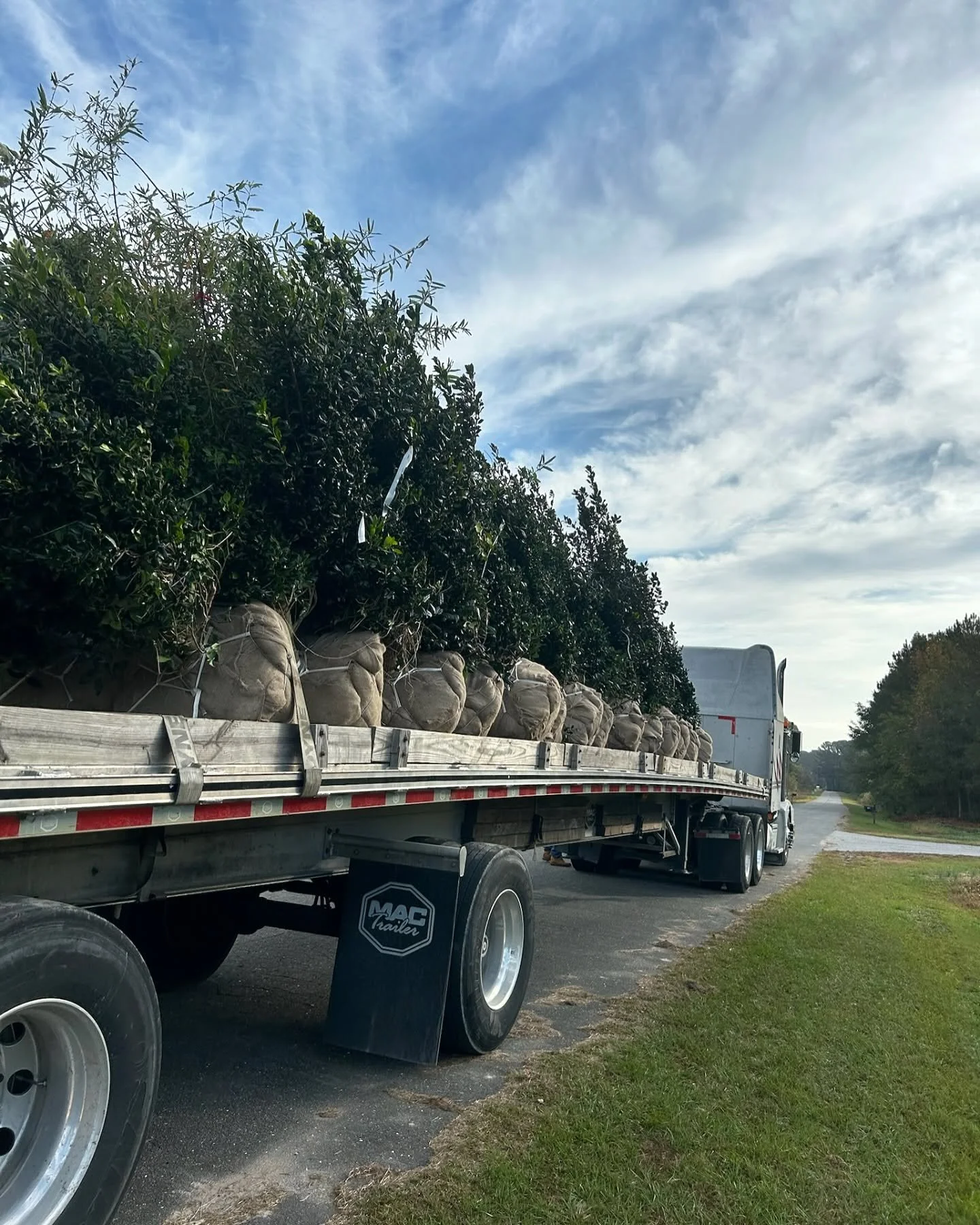 Just completed a tree planting project around this commercial RV property! 🌳✨ These trees will provide much-needed shade, privacy, and a natural touch to the space. It&rsquo;s all about creating a welcoming environment for customers and enhancing th