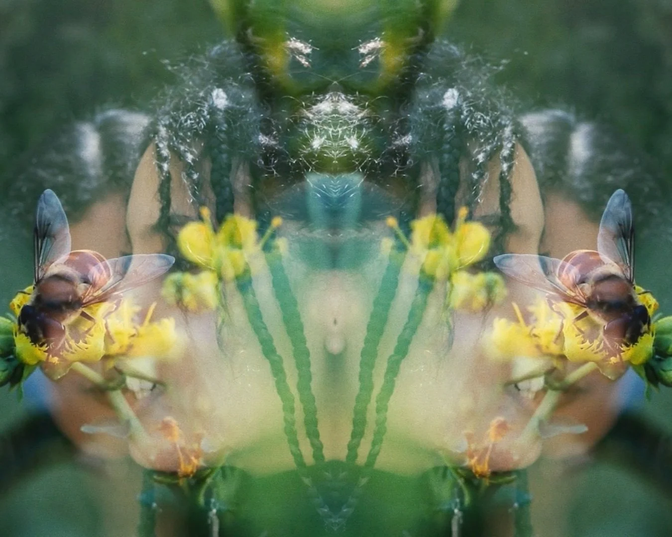 A mirrored image of a bee on yellow flowers with a human face reflection blending with the flowers.