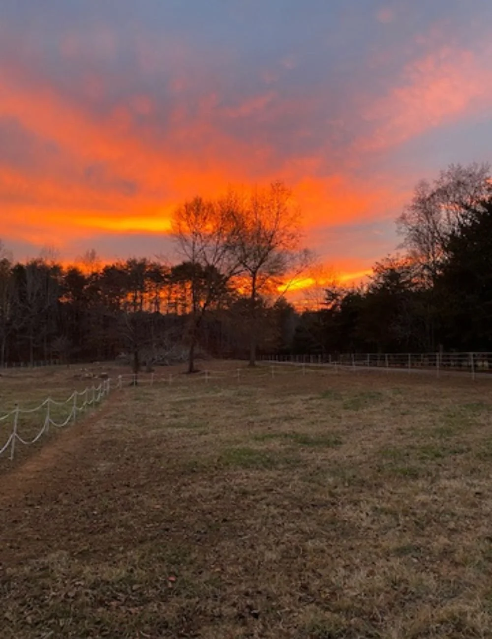 sunset and a field