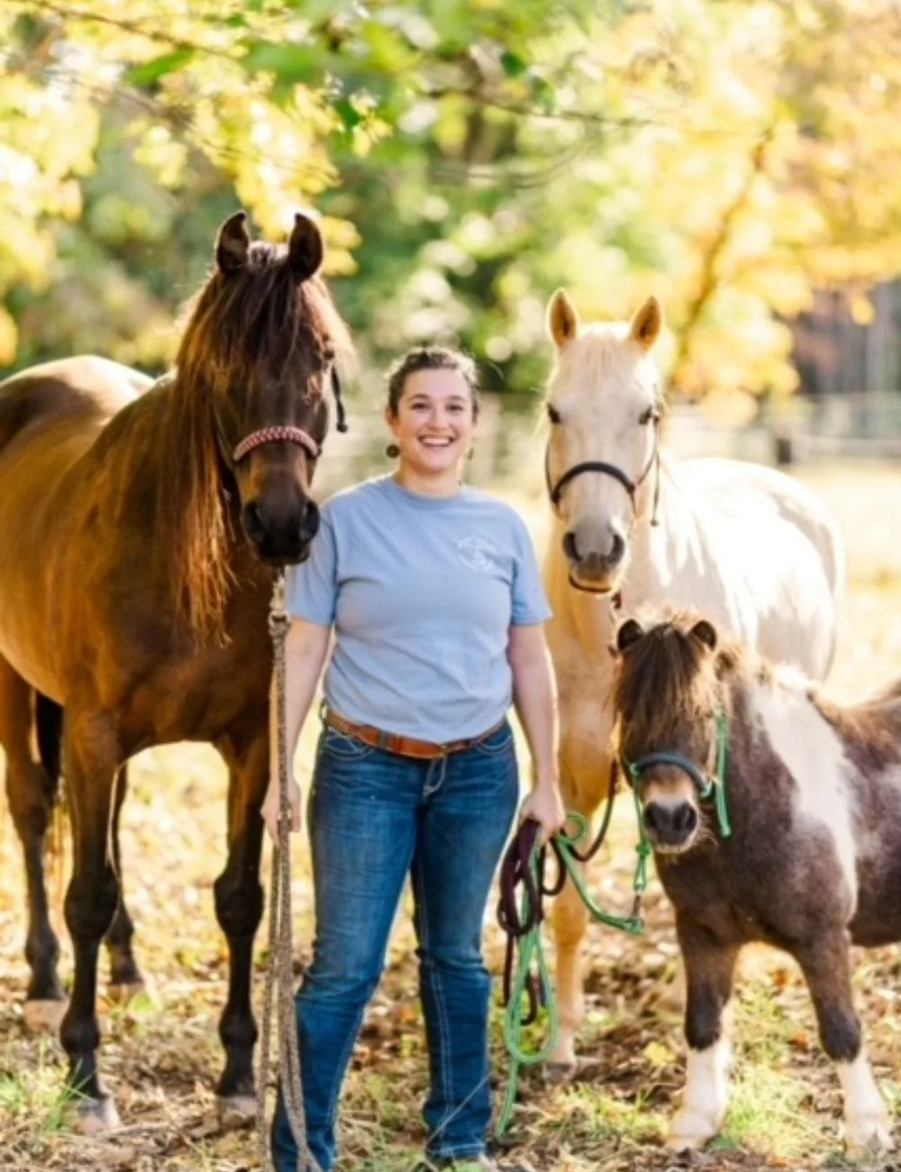 Woof, Neigh, Oink: Including Animals in Therapy (AAT)