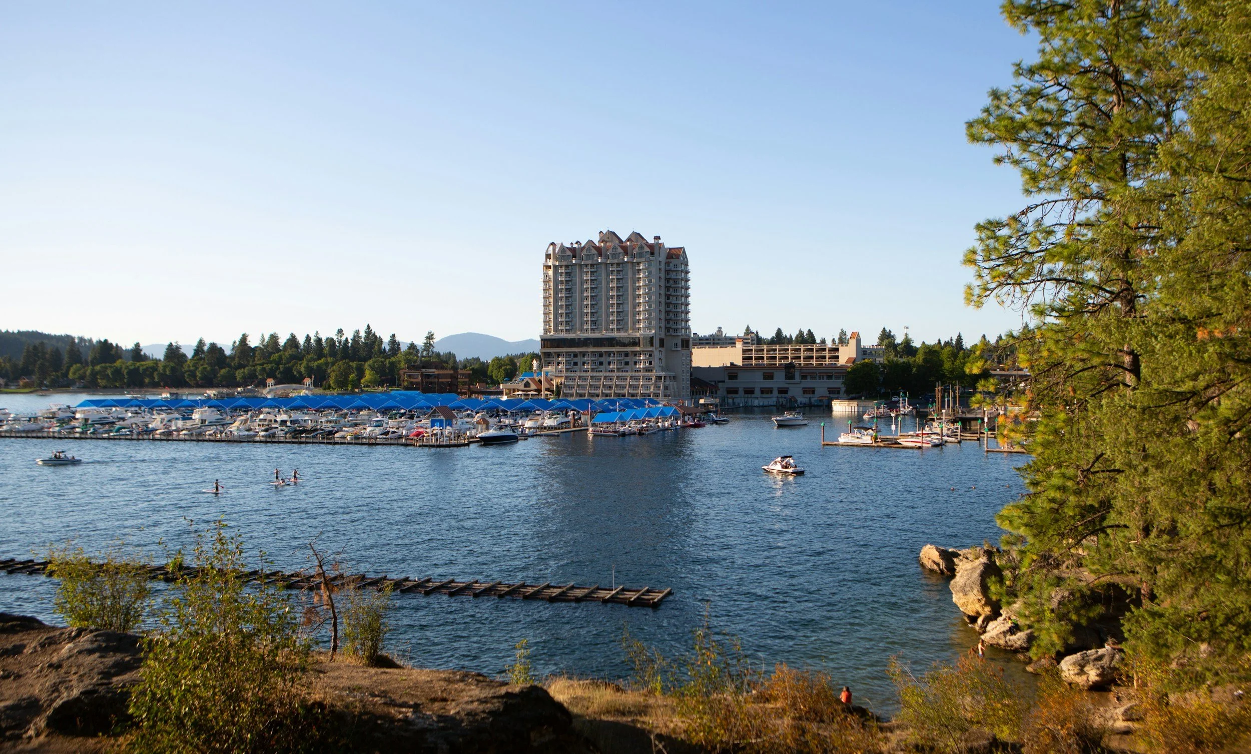 A scenic view of a marina with boats docked under blue canopies, a tall hotel building in the background, and a tree with green foliage on the right side. The water has people paddleboarding and small boats, with hills in the distant background.