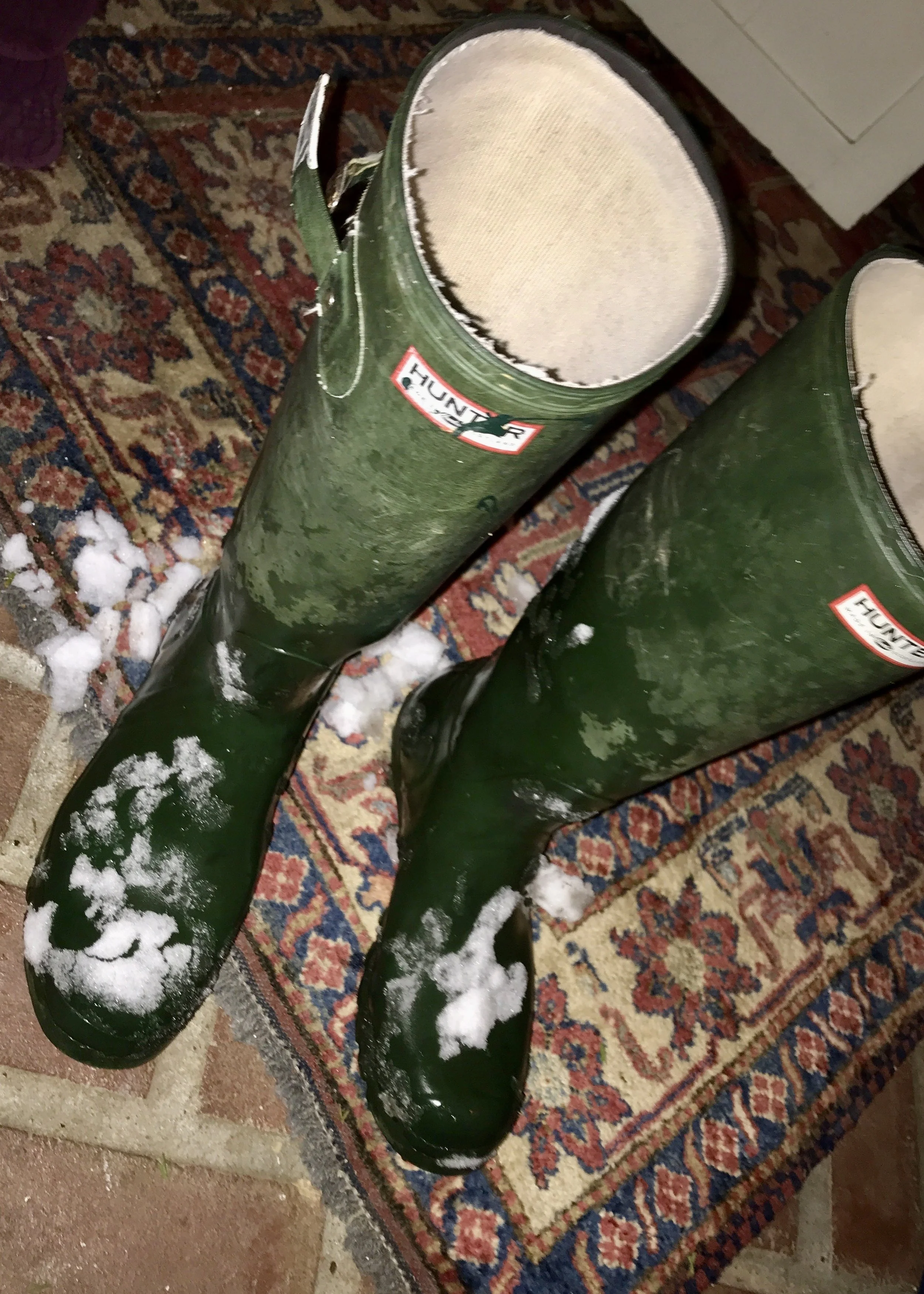                                    WINTER