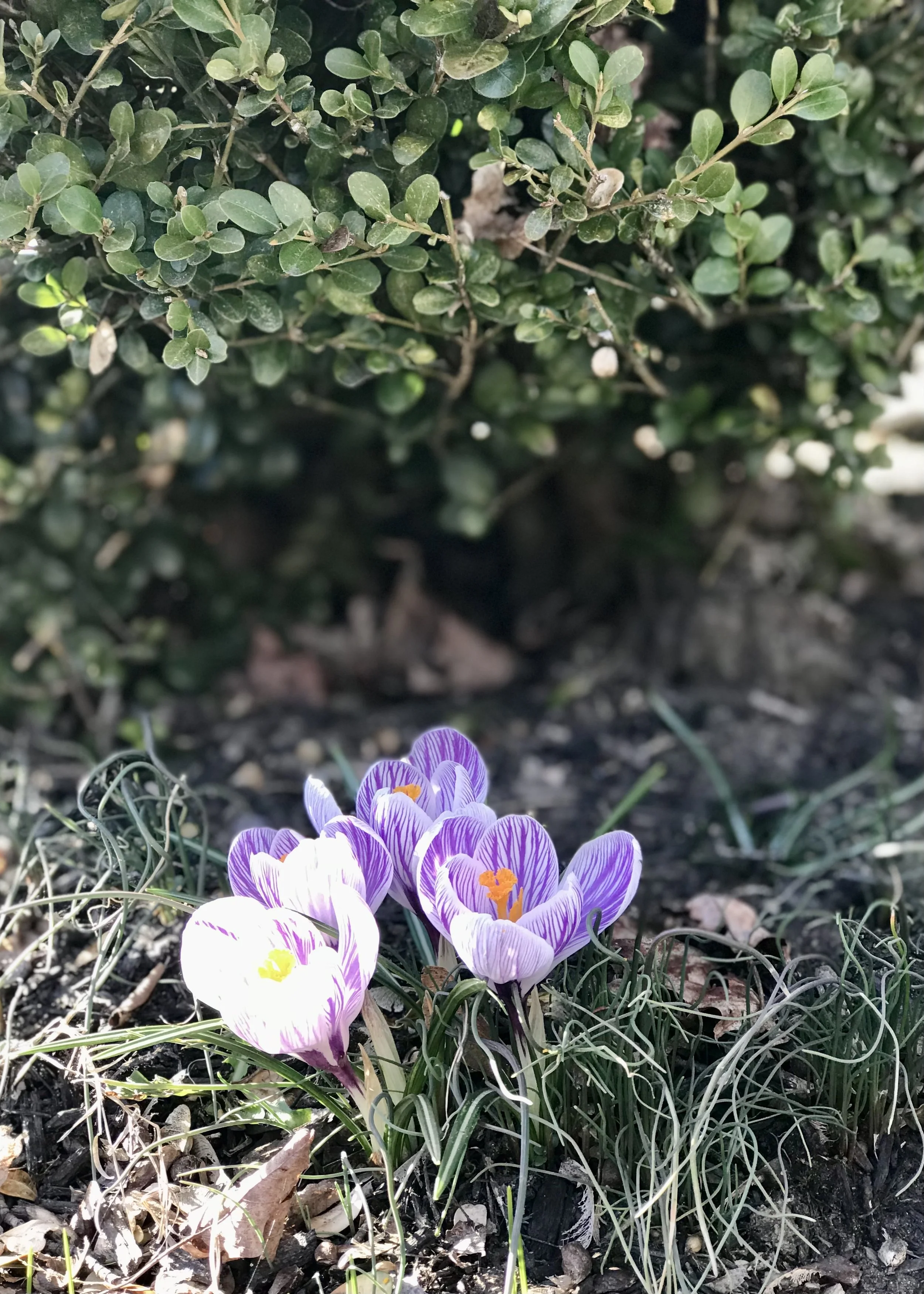 IMG_1314 2.jpeg
