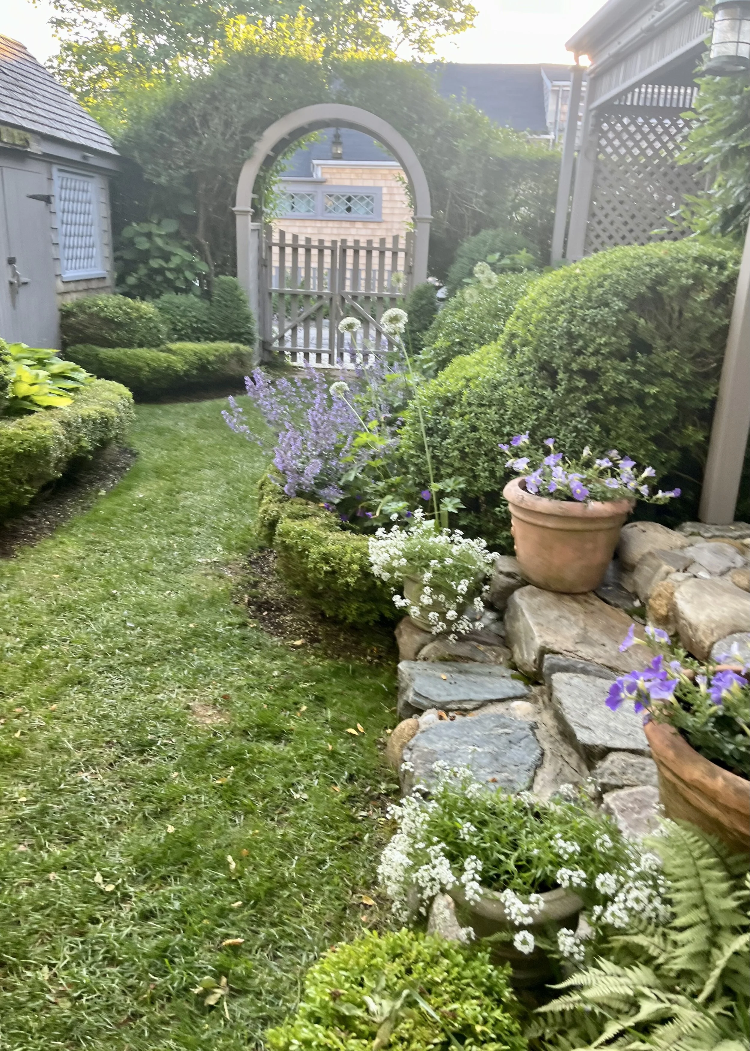 IMG_3562.jpeg