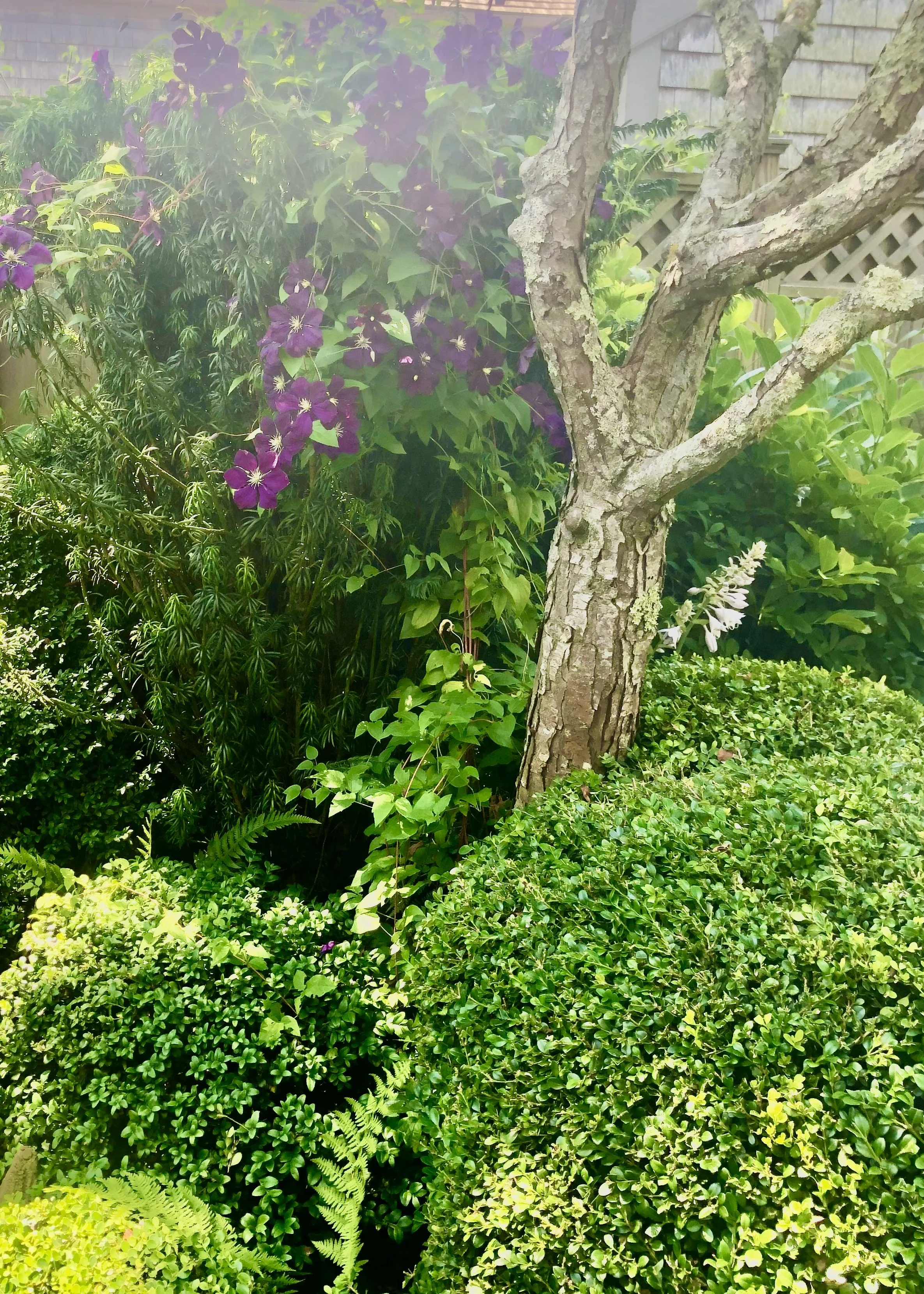 IMG_4660.jpeg