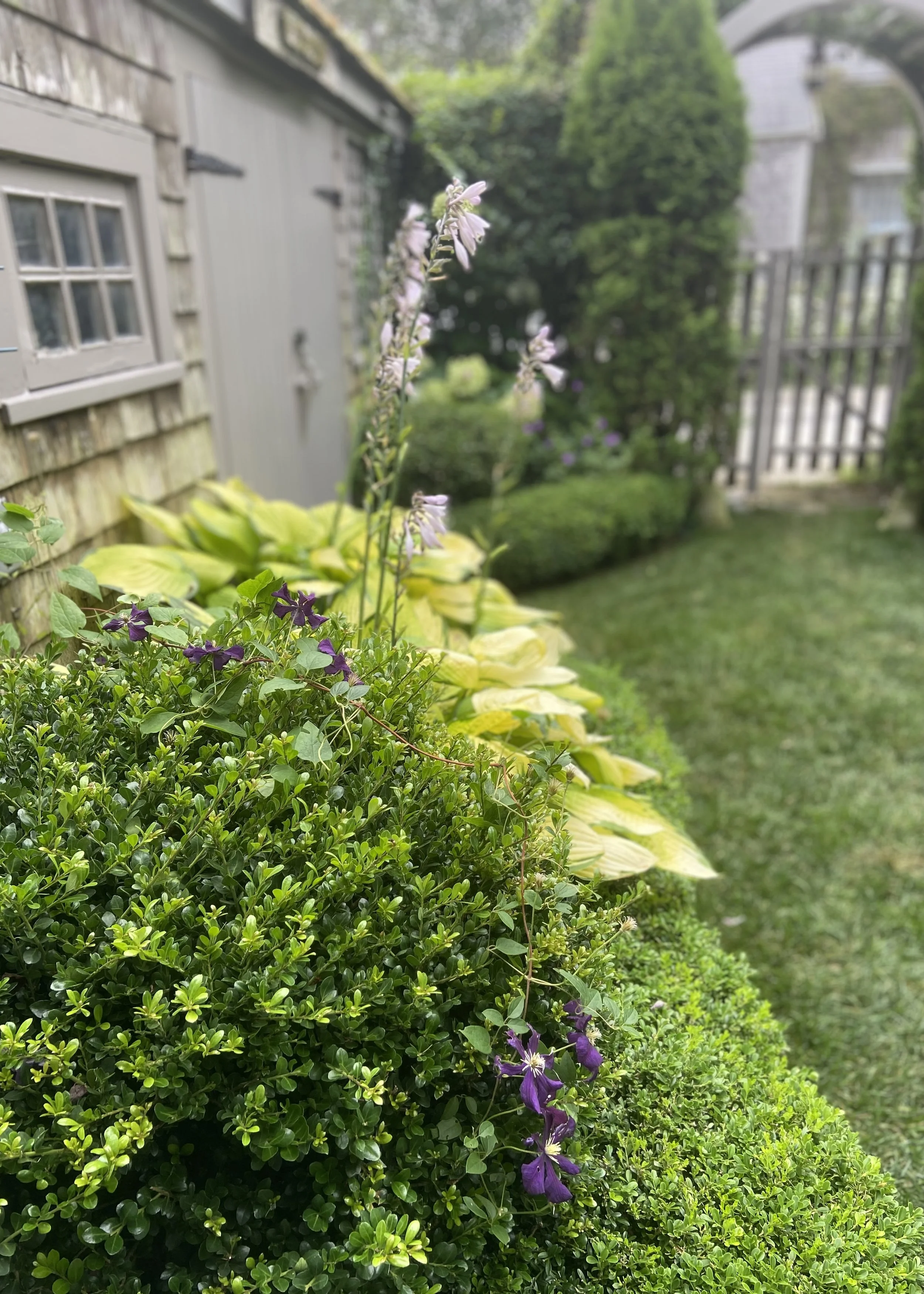 NANTUCKET COTTAGE GARDEN