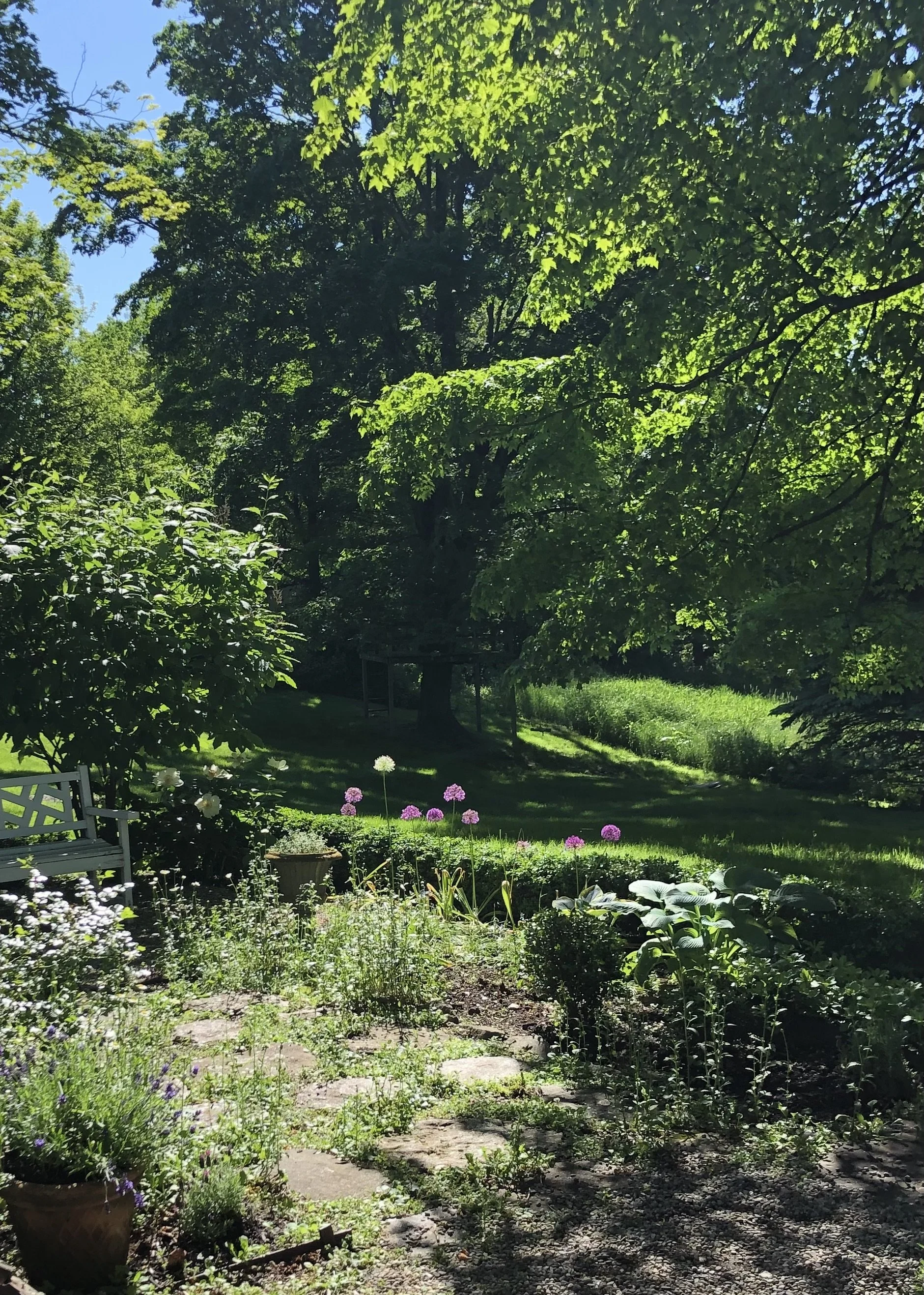 IMG_0891.jpeg
