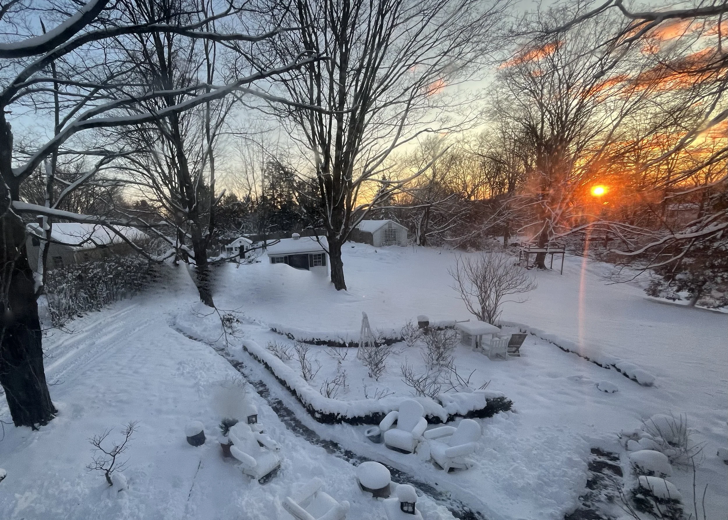 IMG_1917.jpeg